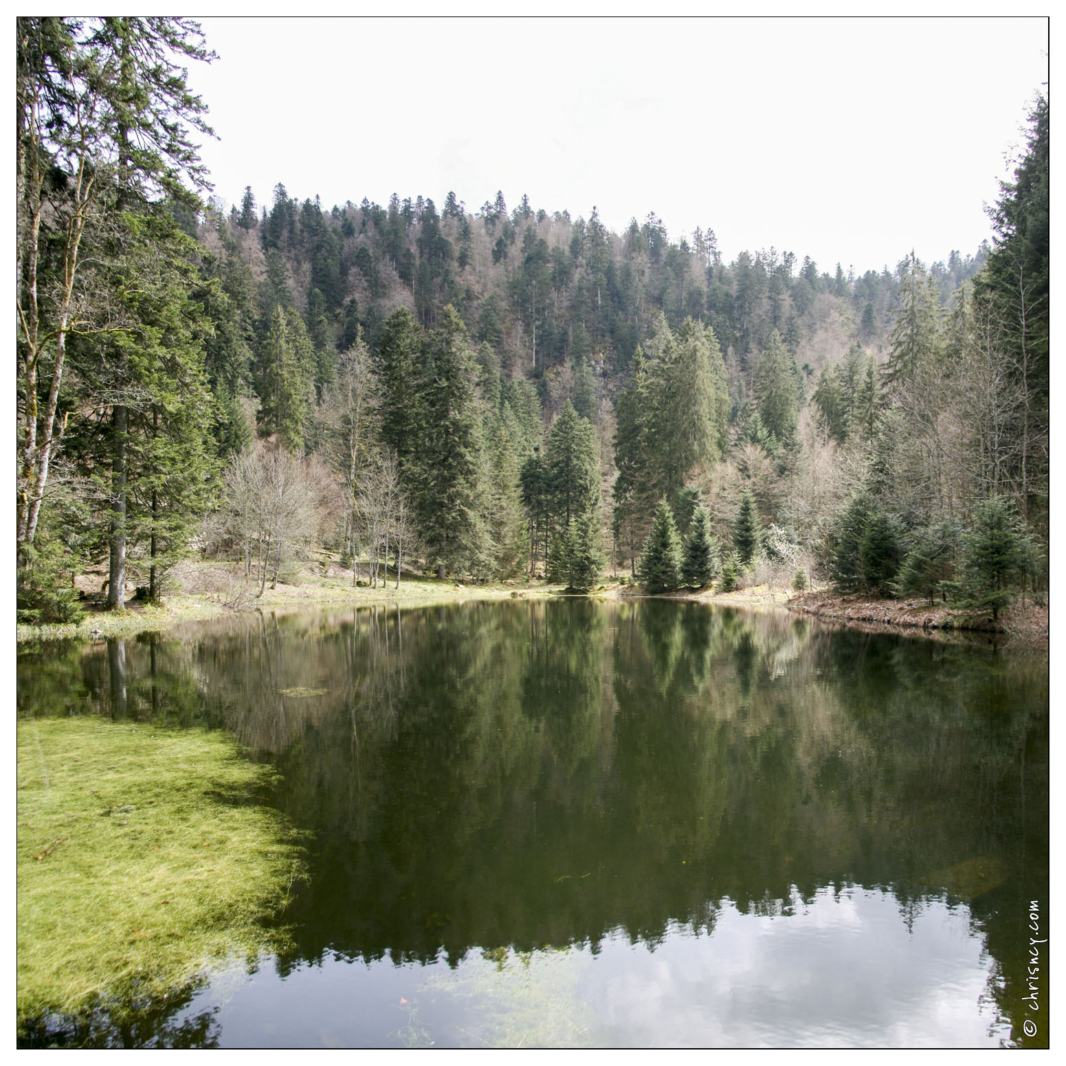 20080501-26_6887-La_Bresse_Etang_de_sechemer_pano_.jpg