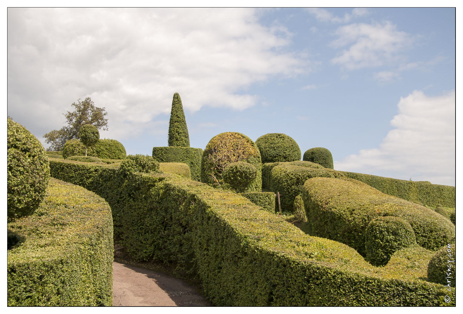 20080604-73_8611-Marqueyssac.jpg