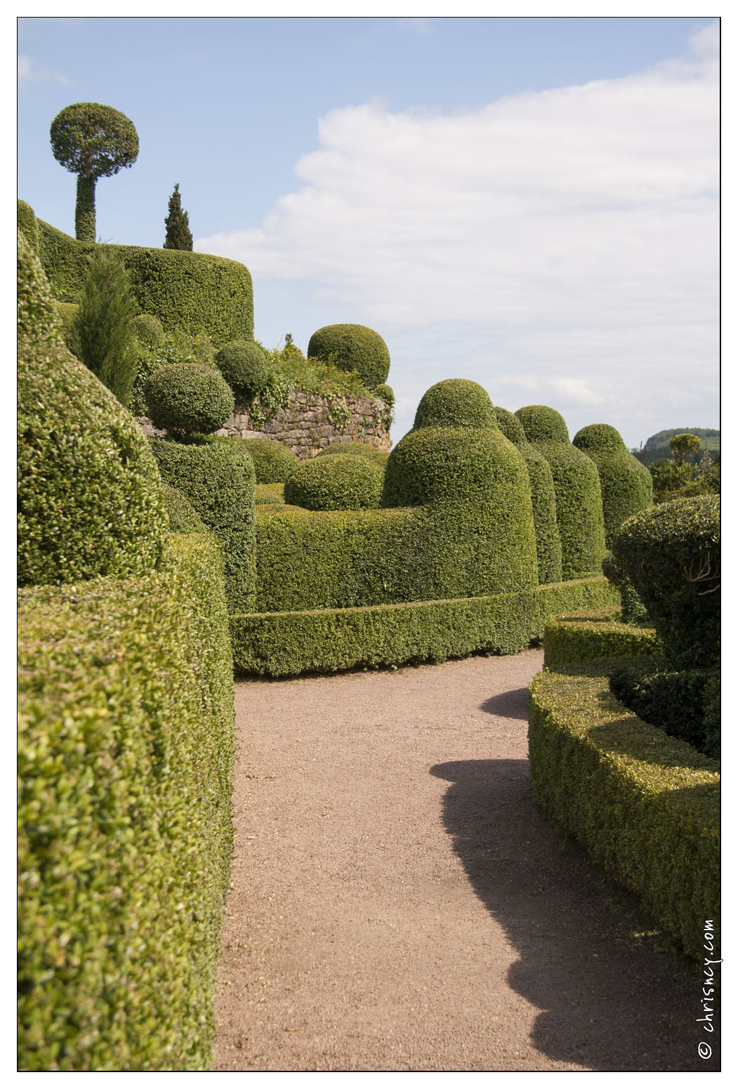 20080604-83_8615-Marqueyssac.jpg