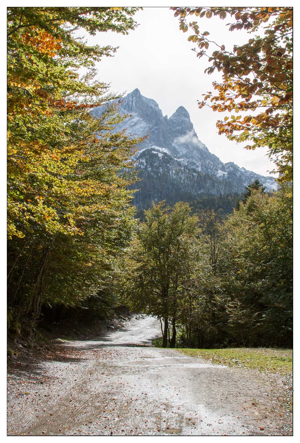 20081004-39_7575-Pic_du_midi_d_Ossau.jpg