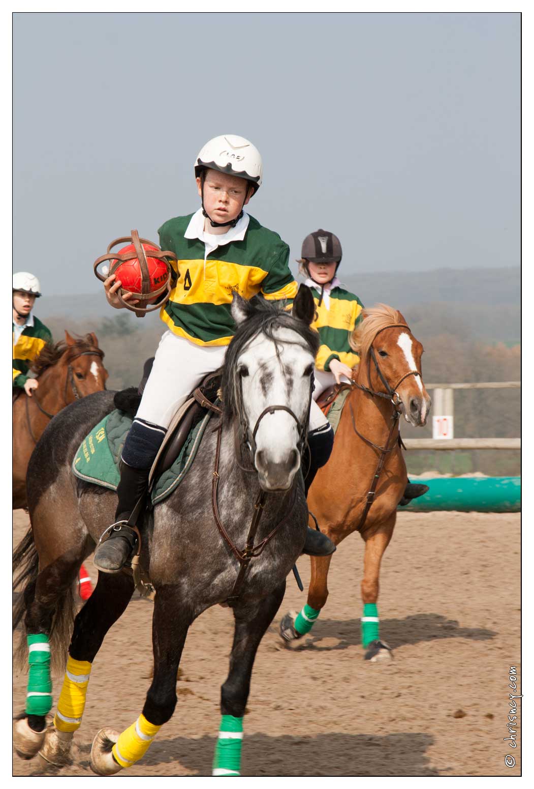 20090405-1940-Horseball.jpg