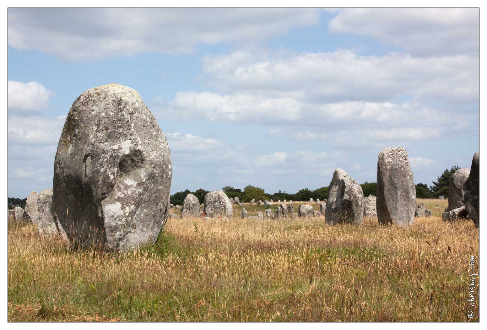 20090619-41_5152-Alignements_de_Carnac.jpg