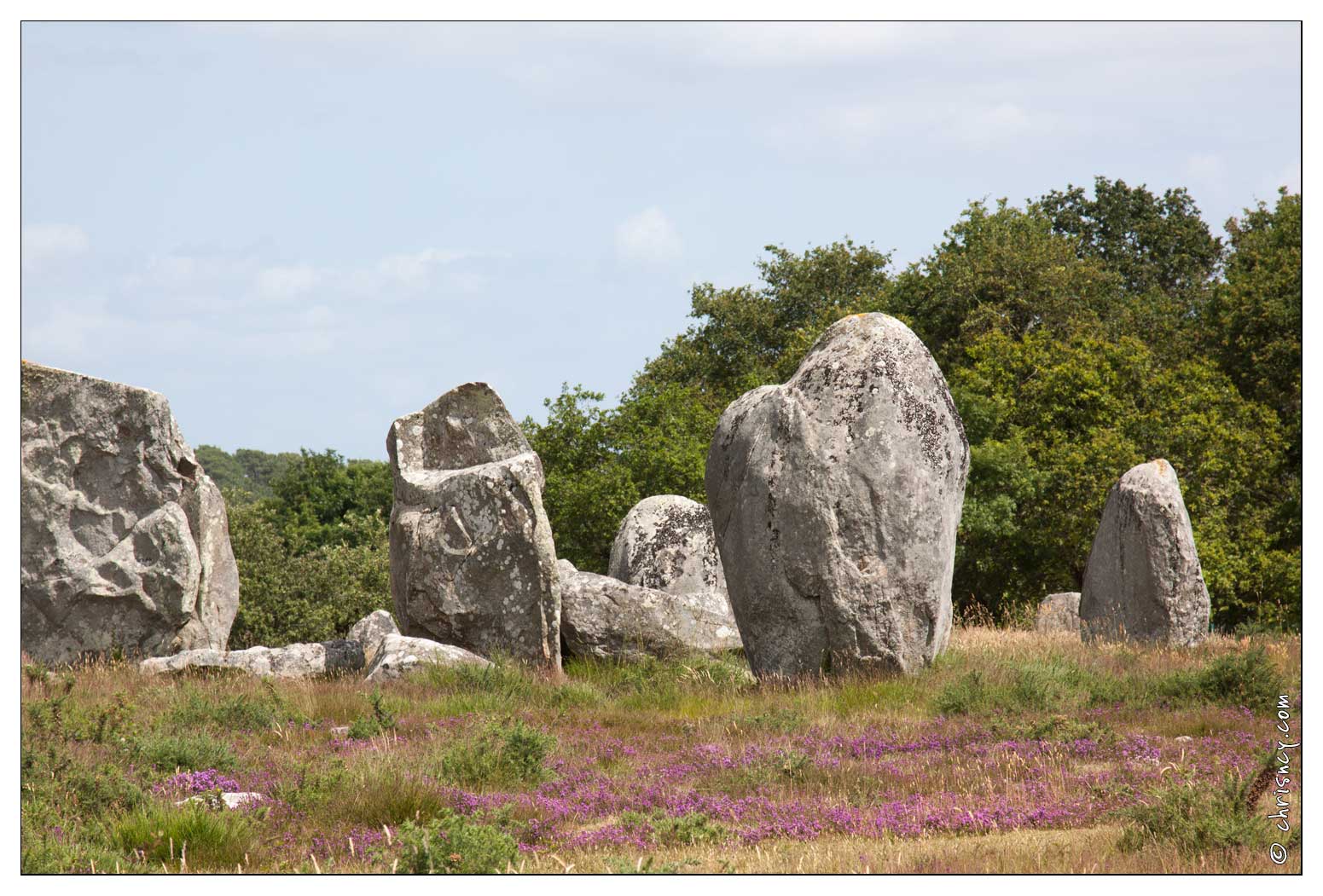 20090619-45_5171-Alignements_de_Carnac.jpg