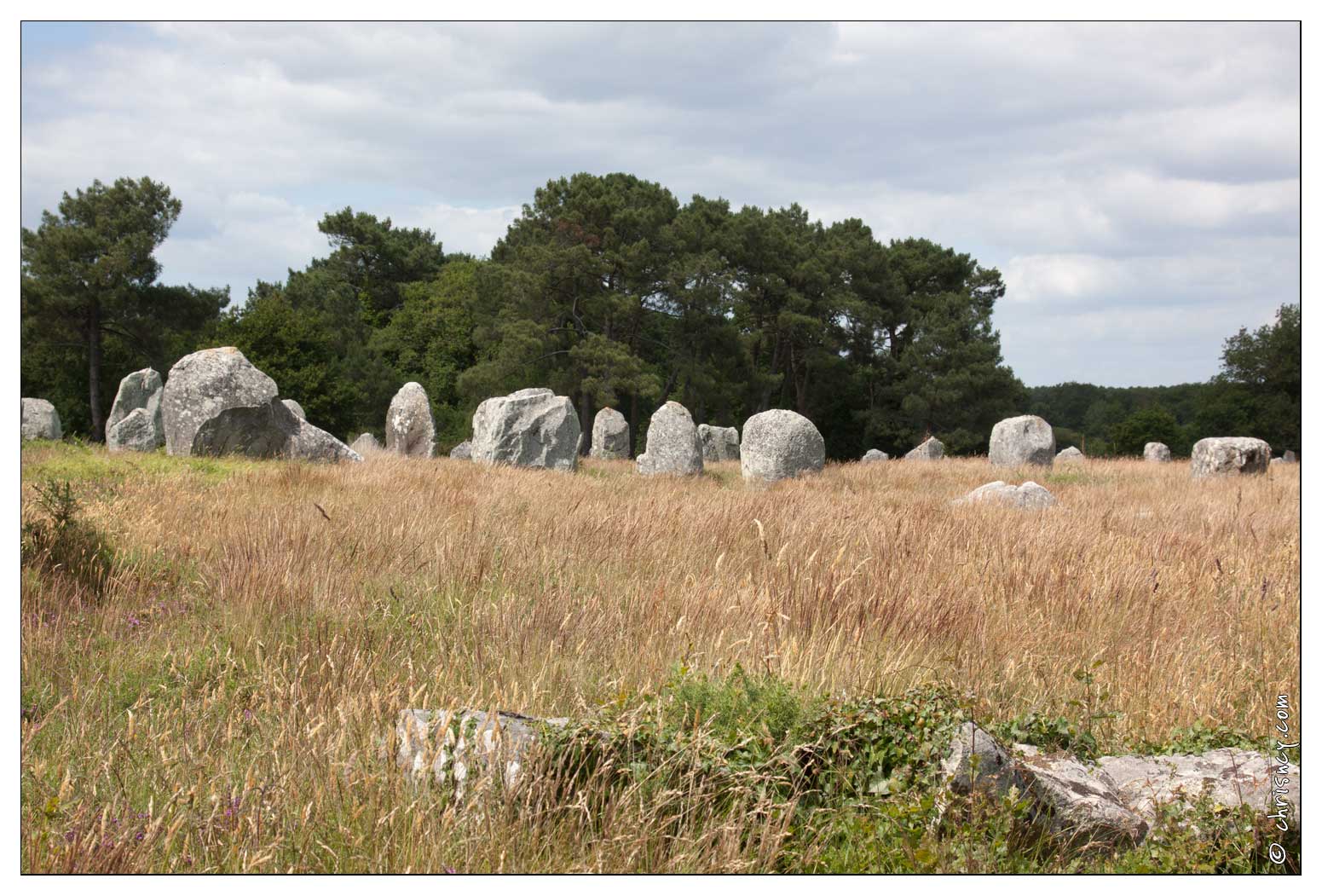 20090619-46_5173-Alignements_de_Carnac.jpg