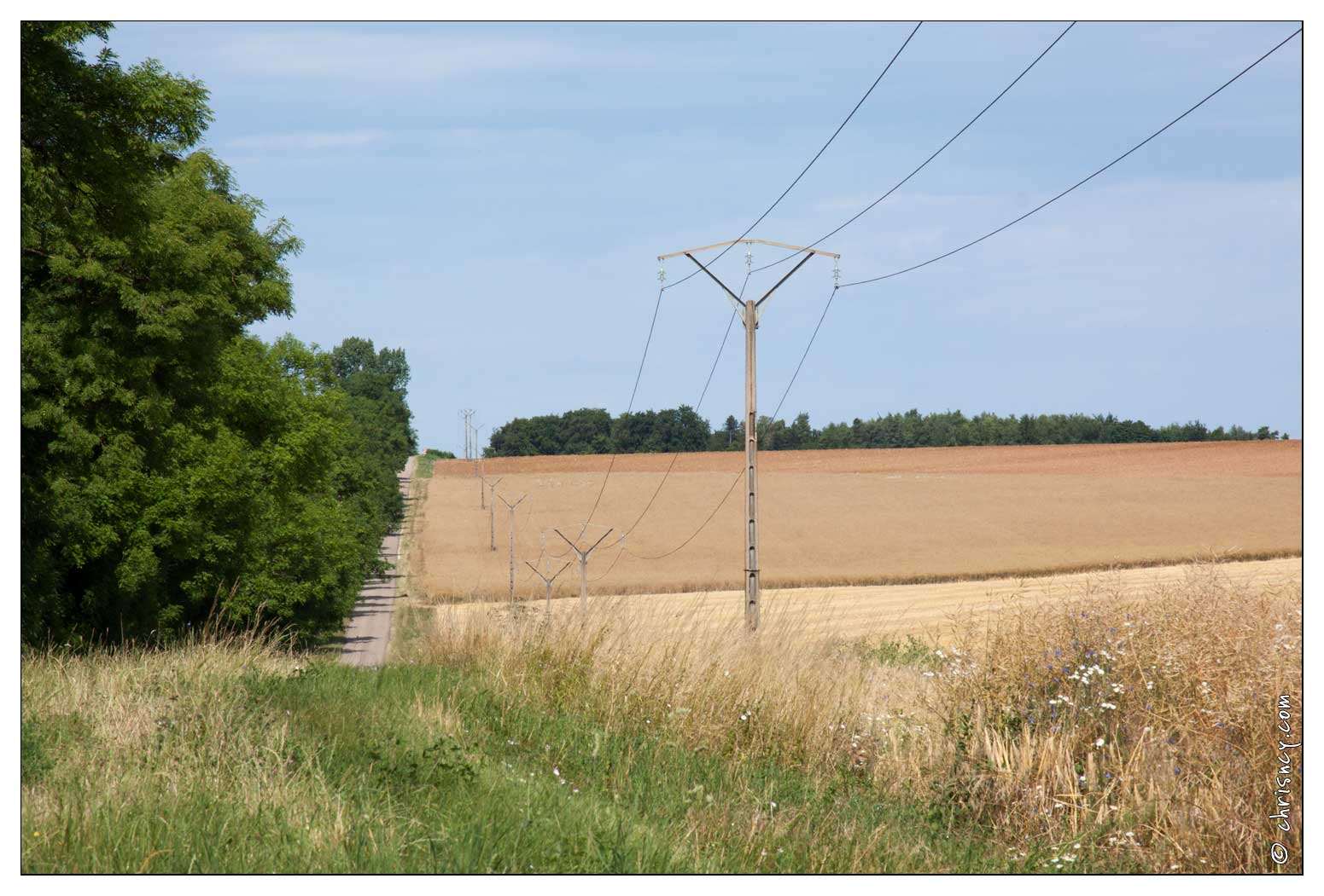 20090705-01_5538-Petite_suisse_lorraine_voie_romaine.jpg