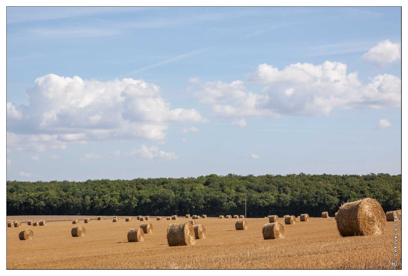 20090726-09_6303-Campagne_Lorraine.jpg