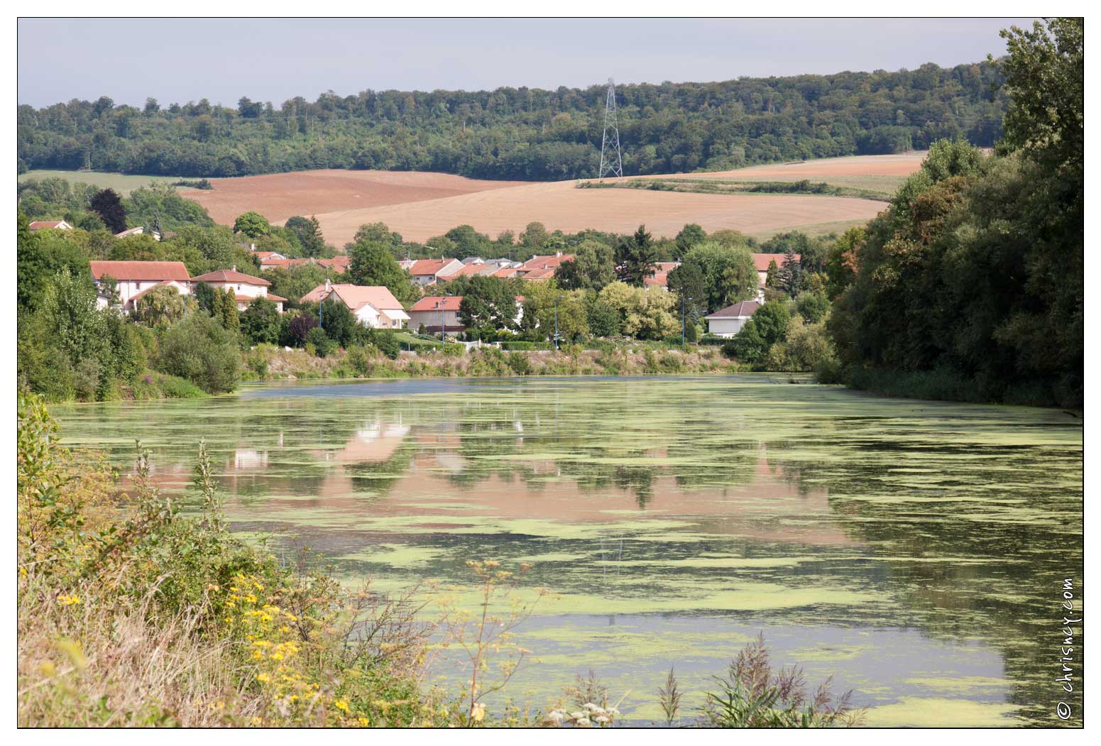 20090816-16_7398-Millery_sur_la_Moselle.jpg