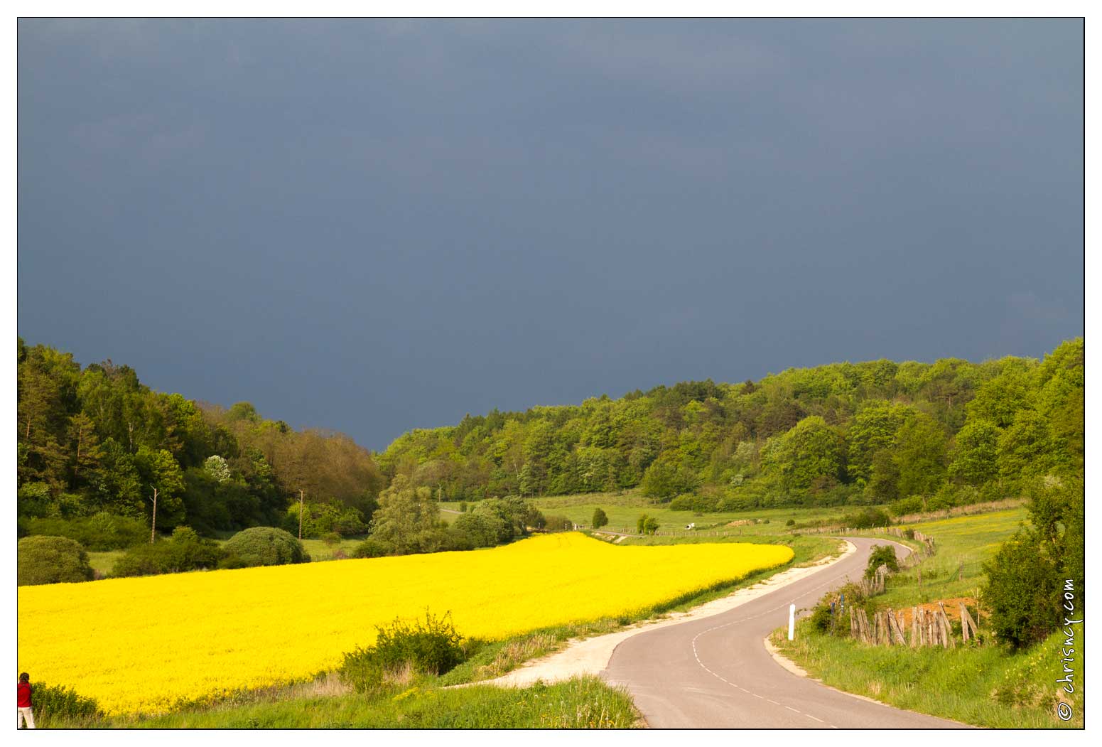 20100516-26_2588-Campagne_lorraine.jpg