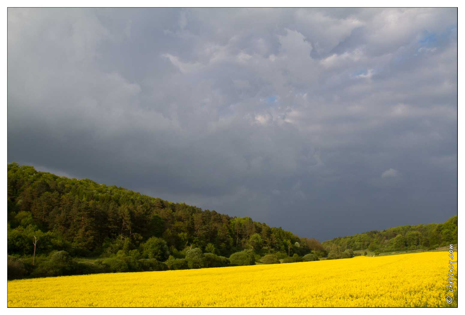 20100516-27_2594-Campagne_lorraine.jpg