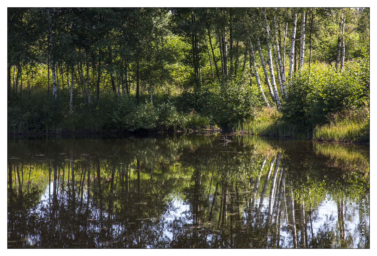 20130823-17_2260-Plateau_des_mille_etangs.jpg