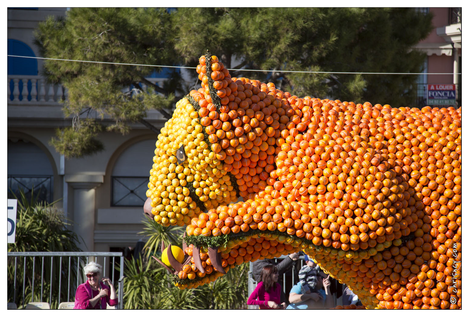 20140223-7206-Menton_Fete_du_citron.jpg