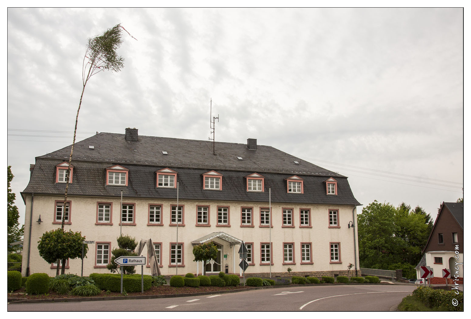 20140506-18_9566-Perl.jpg