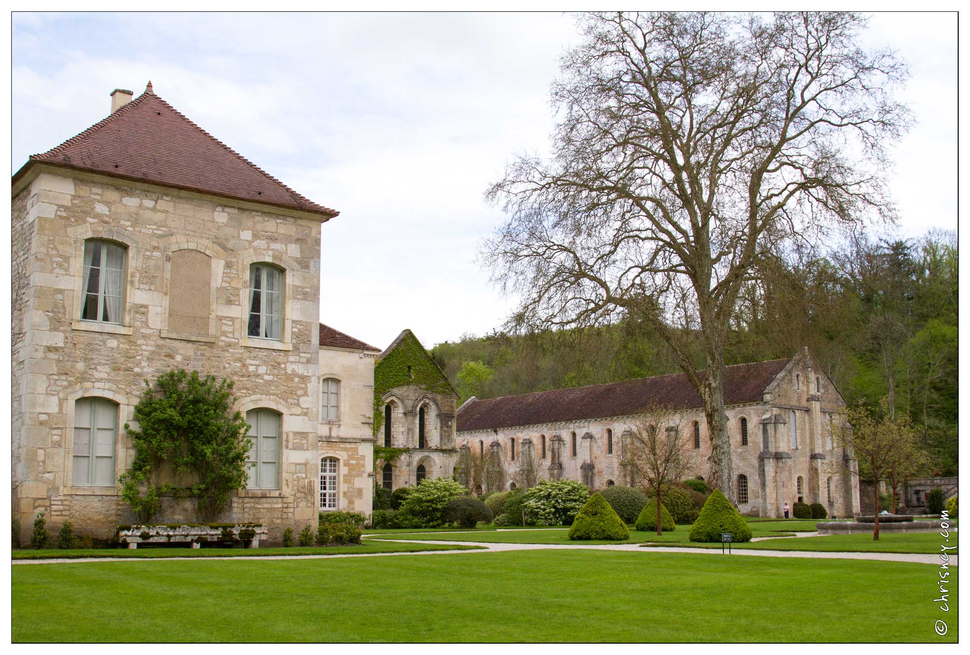 20120509-30_0817-Abbaye_Fontenay.jpg