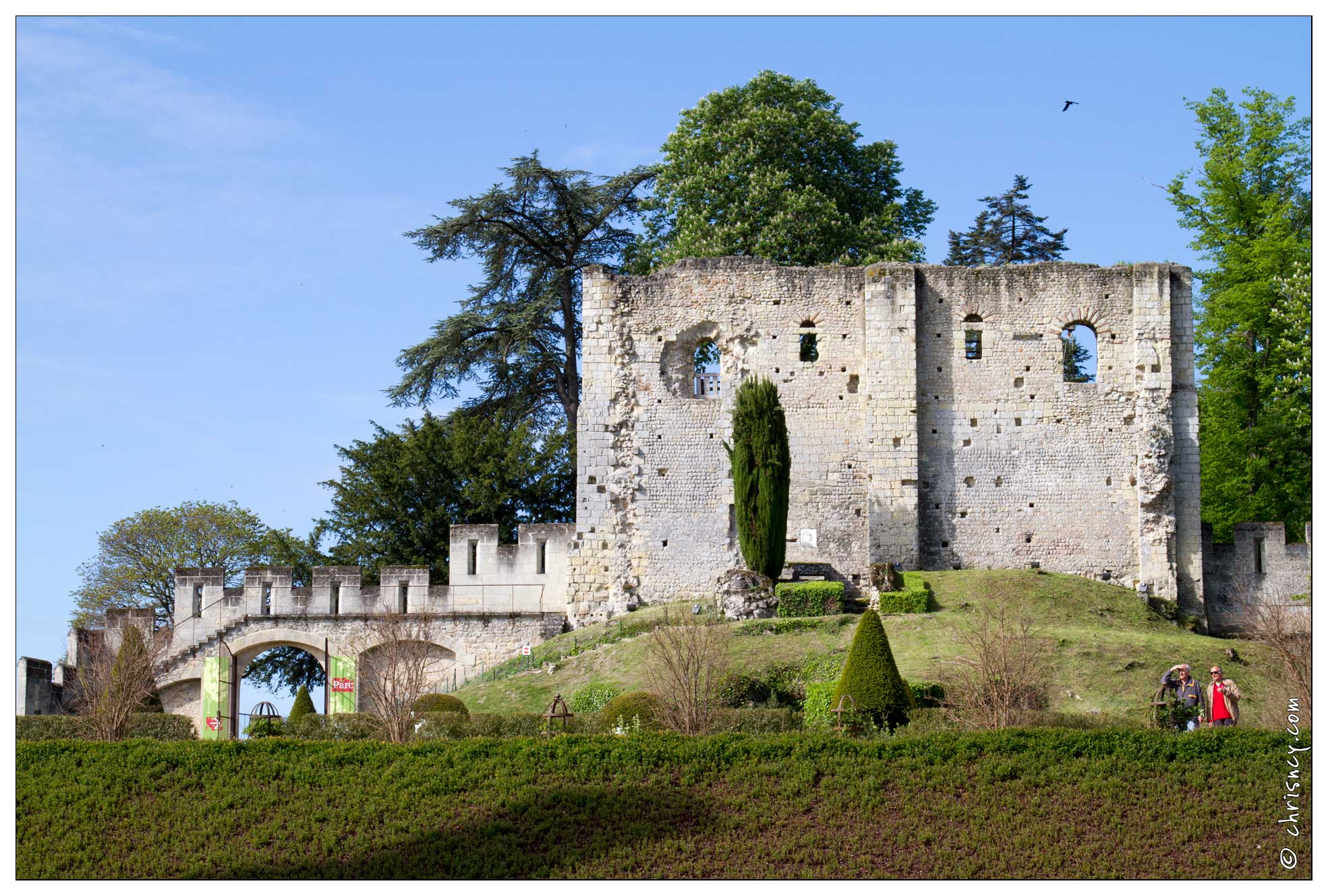 20120512-06_1178-Langeais.jpg