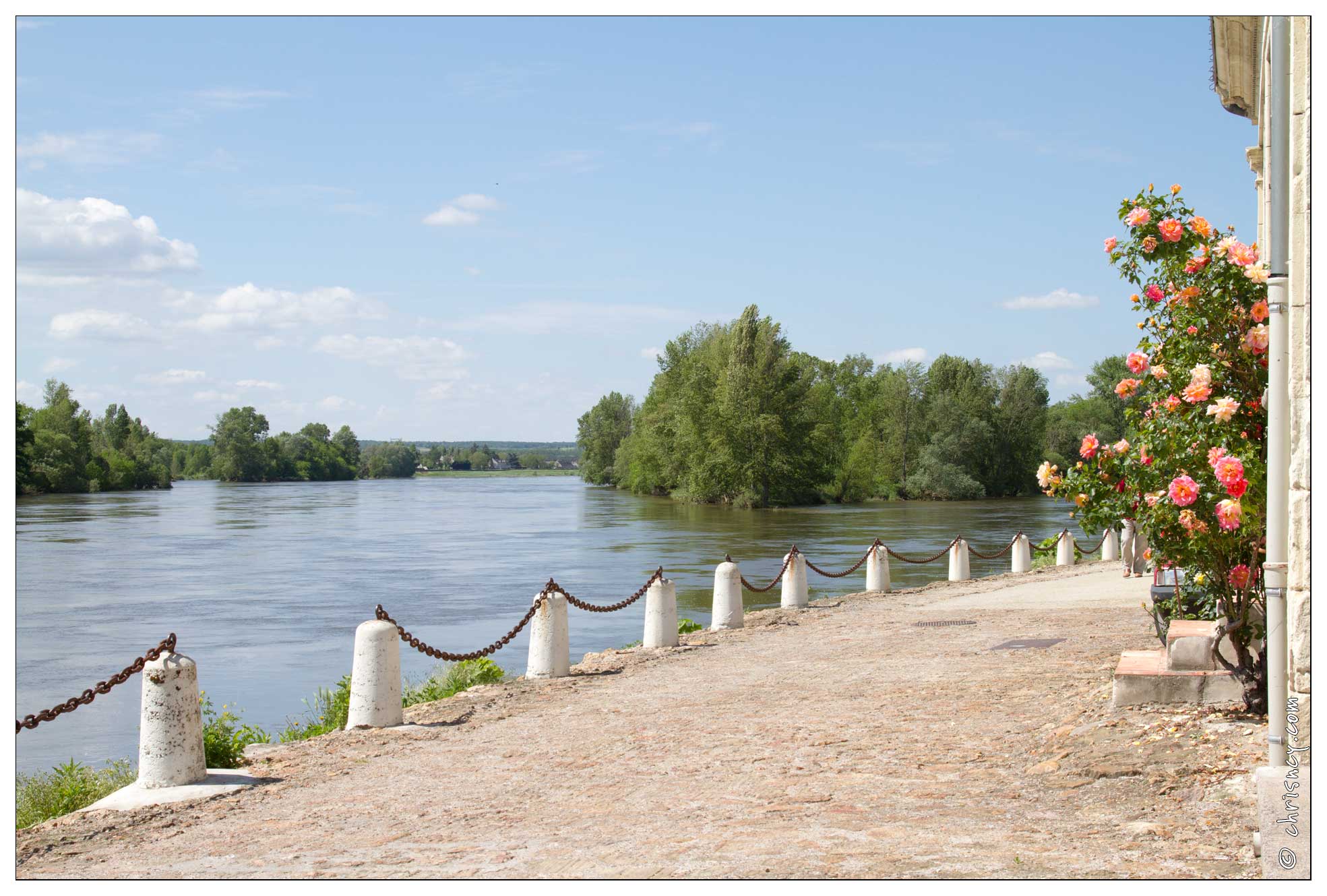 20120512-19_1222-Chouze_sur_Loire.jpg