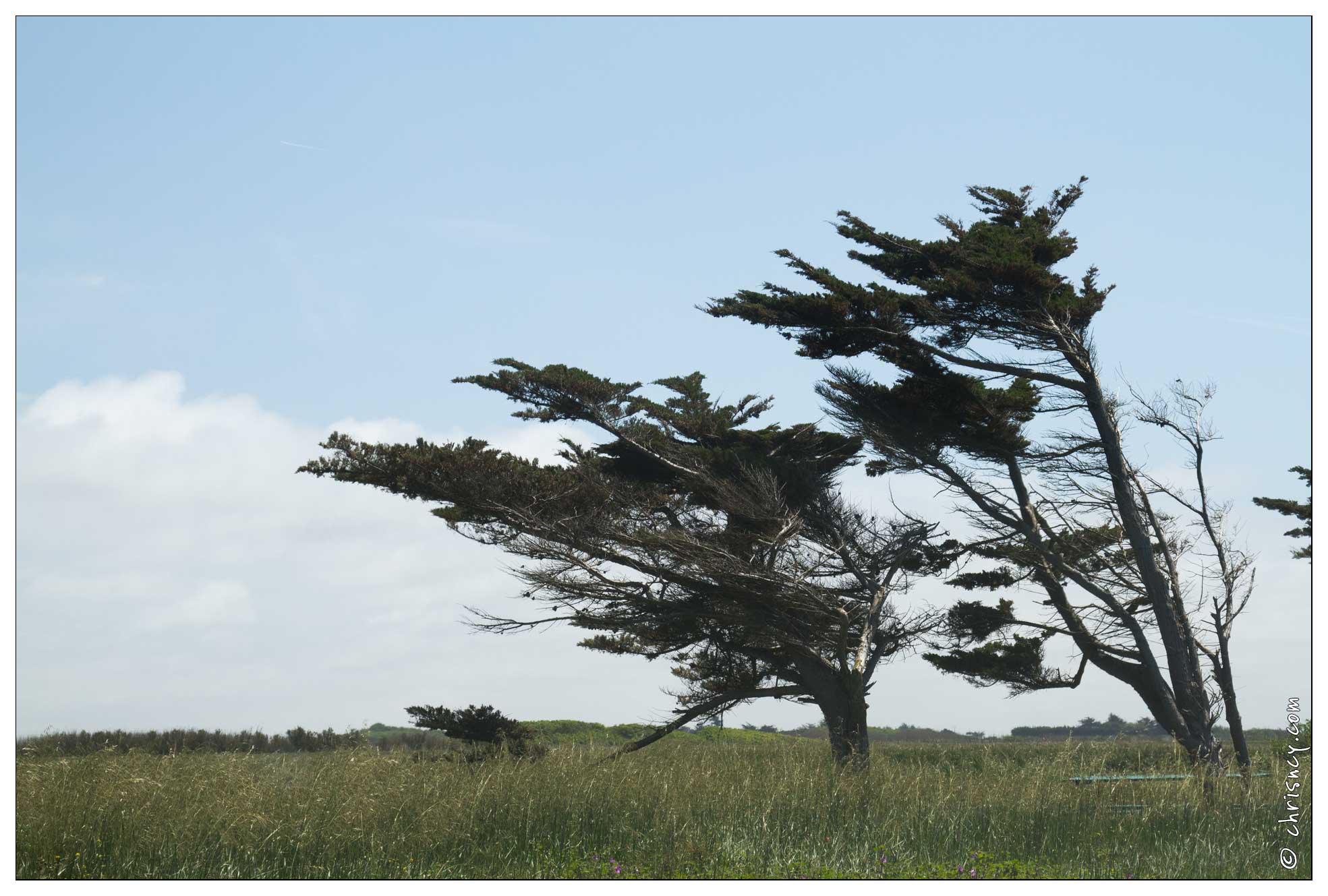 20120522-16_2032-Oleron_Cote_Nord_Ouest.jpg