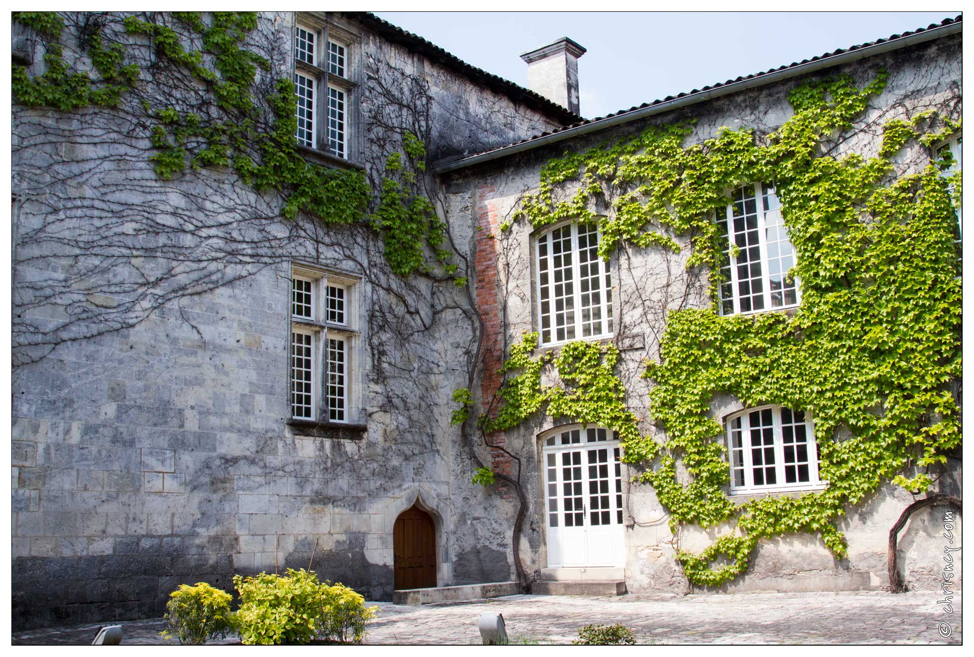20120525-42 2363-Cognac - 20120525-42_2363-Cognac.jpg 20120525-42_2363-Cognac.jpg