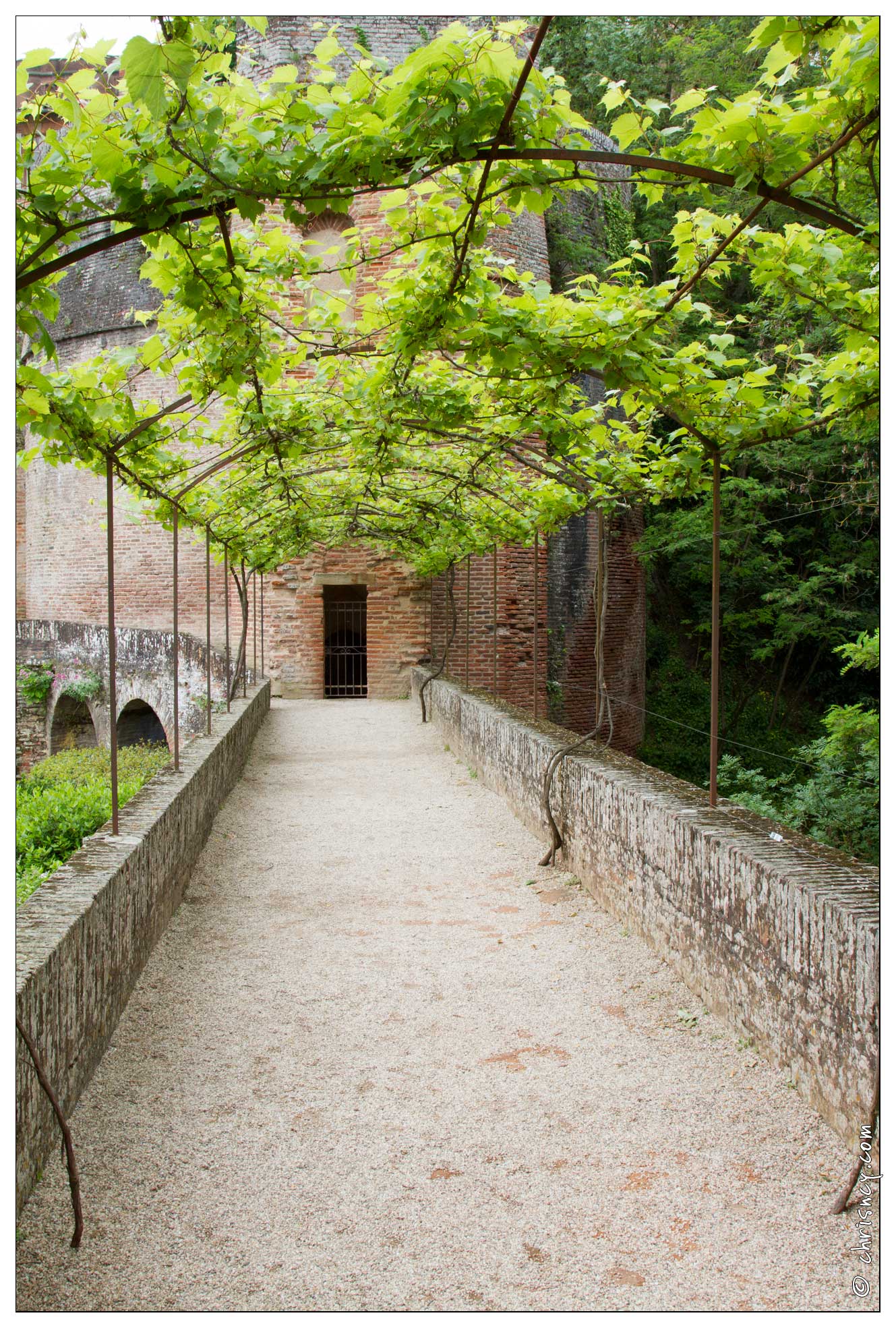 20120528-36_2463-Albi_Palais_de_la_Berbie.jpg