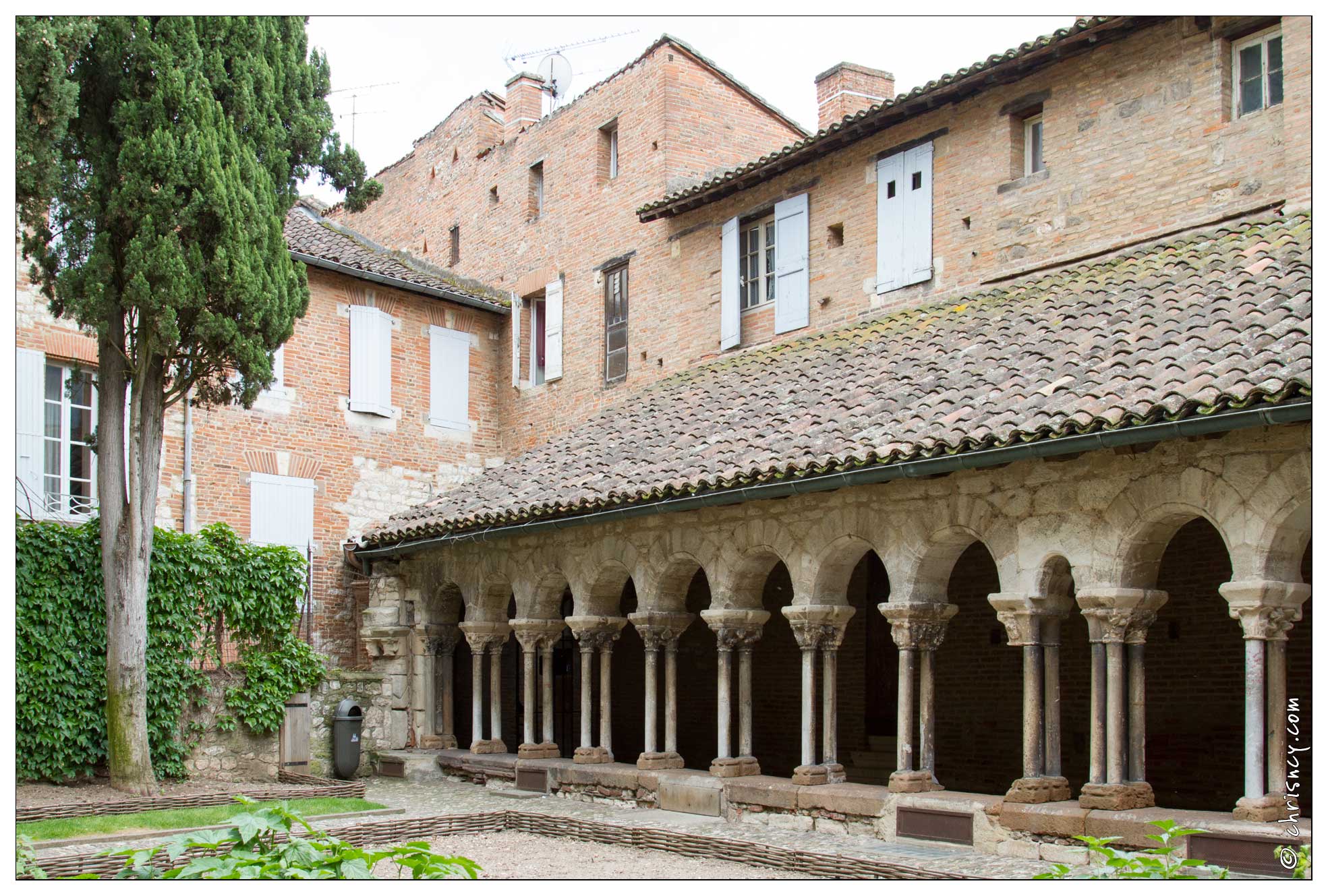 20120528-42_2571-Albi_Collegiale_Saint_Salvi.jpg