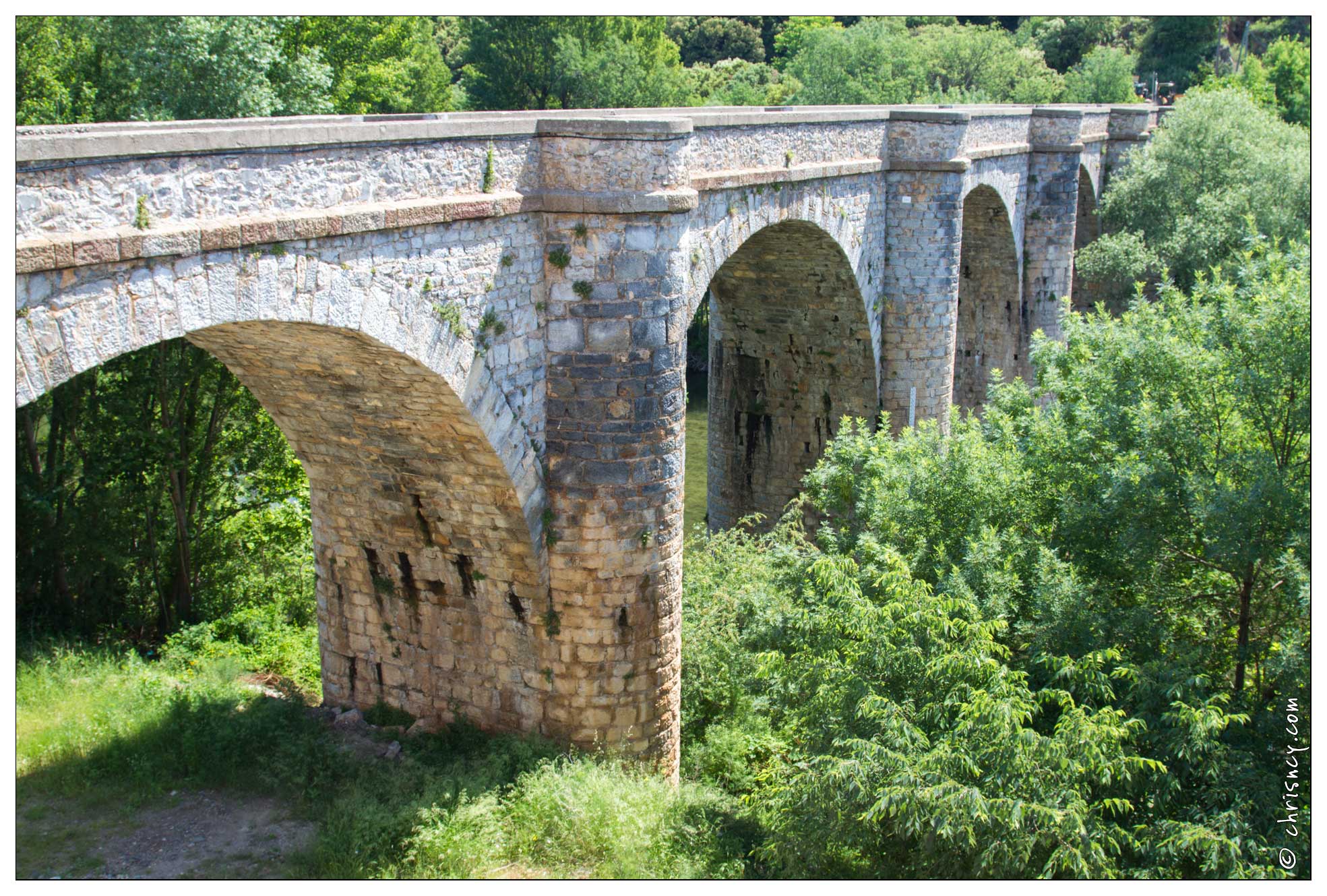 20120530-19_2766-Ceps_et_pont_sur_l_orb.jpg