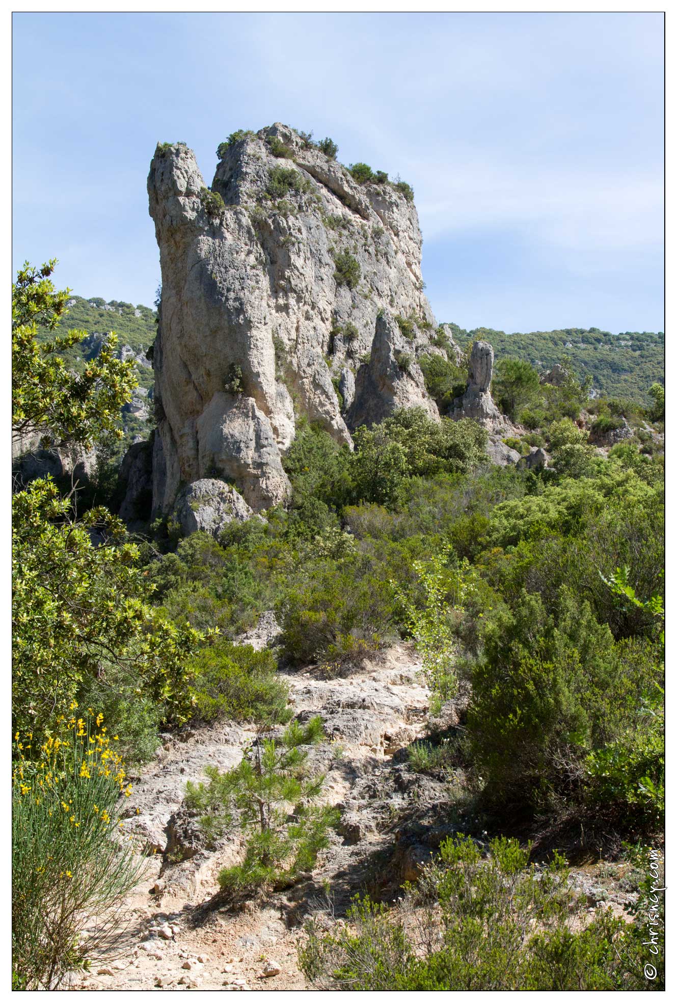 20120601-06_2909-Moureze.jpg