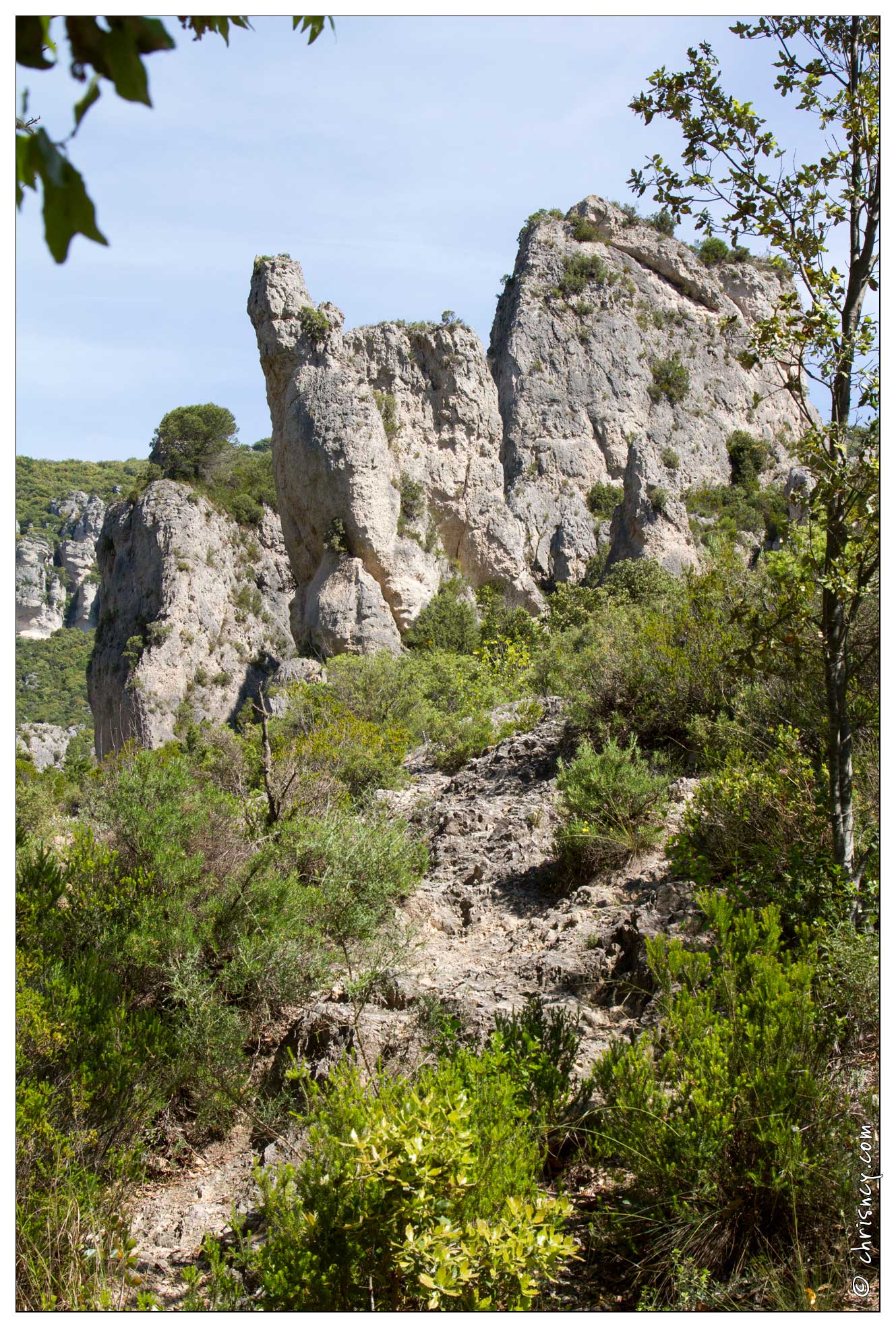 20120601-07_2922-Moureze.jpg