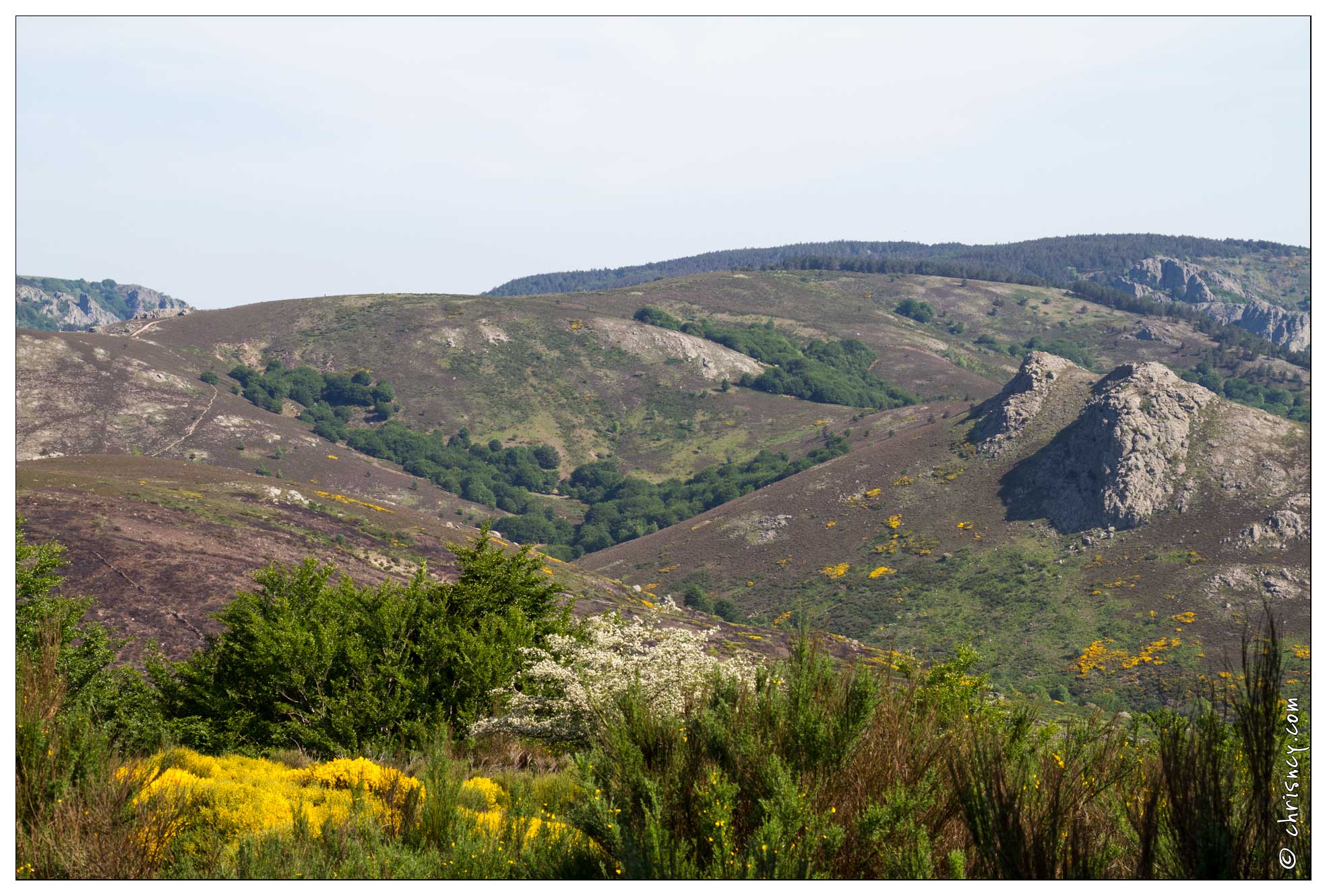 20120602-02_2987-Le_Caroux.jpg