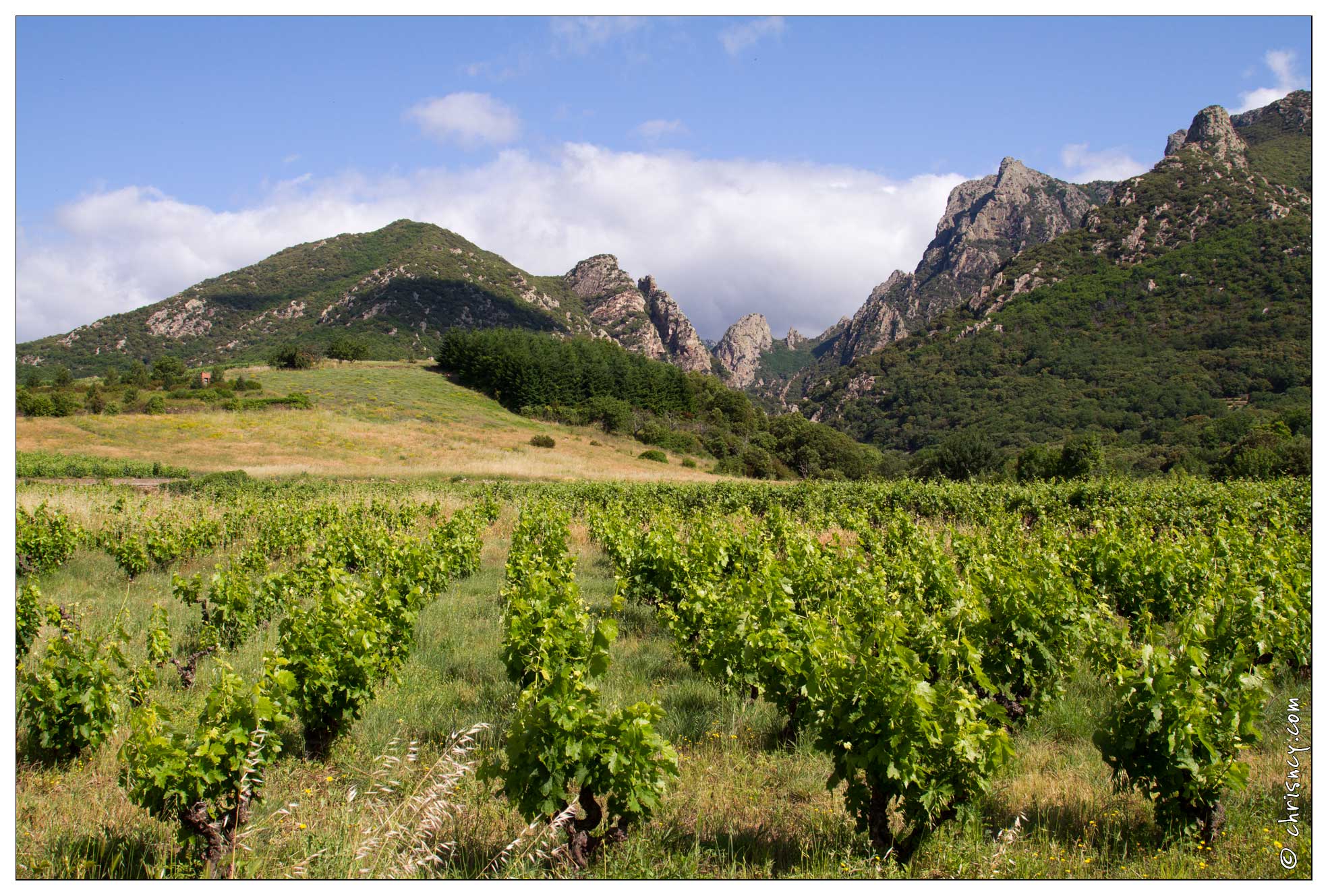20120604-08 3087-L espinouse vu de Tarassac - 20120604-08_3087-L_espinouse_vu_de_Tarassac.jpg 20120604-08_3087-L_espinouse_vu_de_Tarassac.jpg