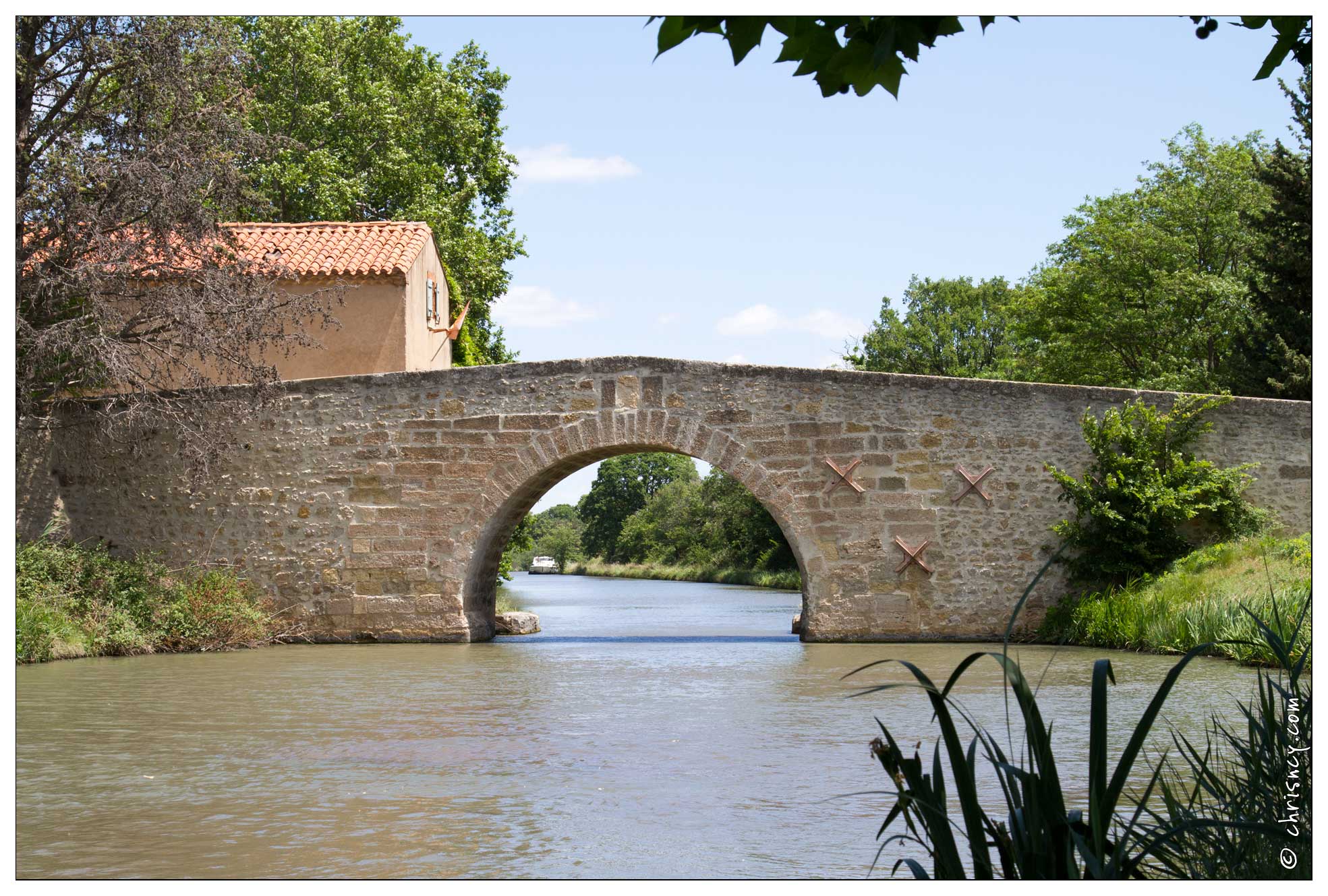 20120604-33_3144-Pigasse_canal_du_midi.jpg