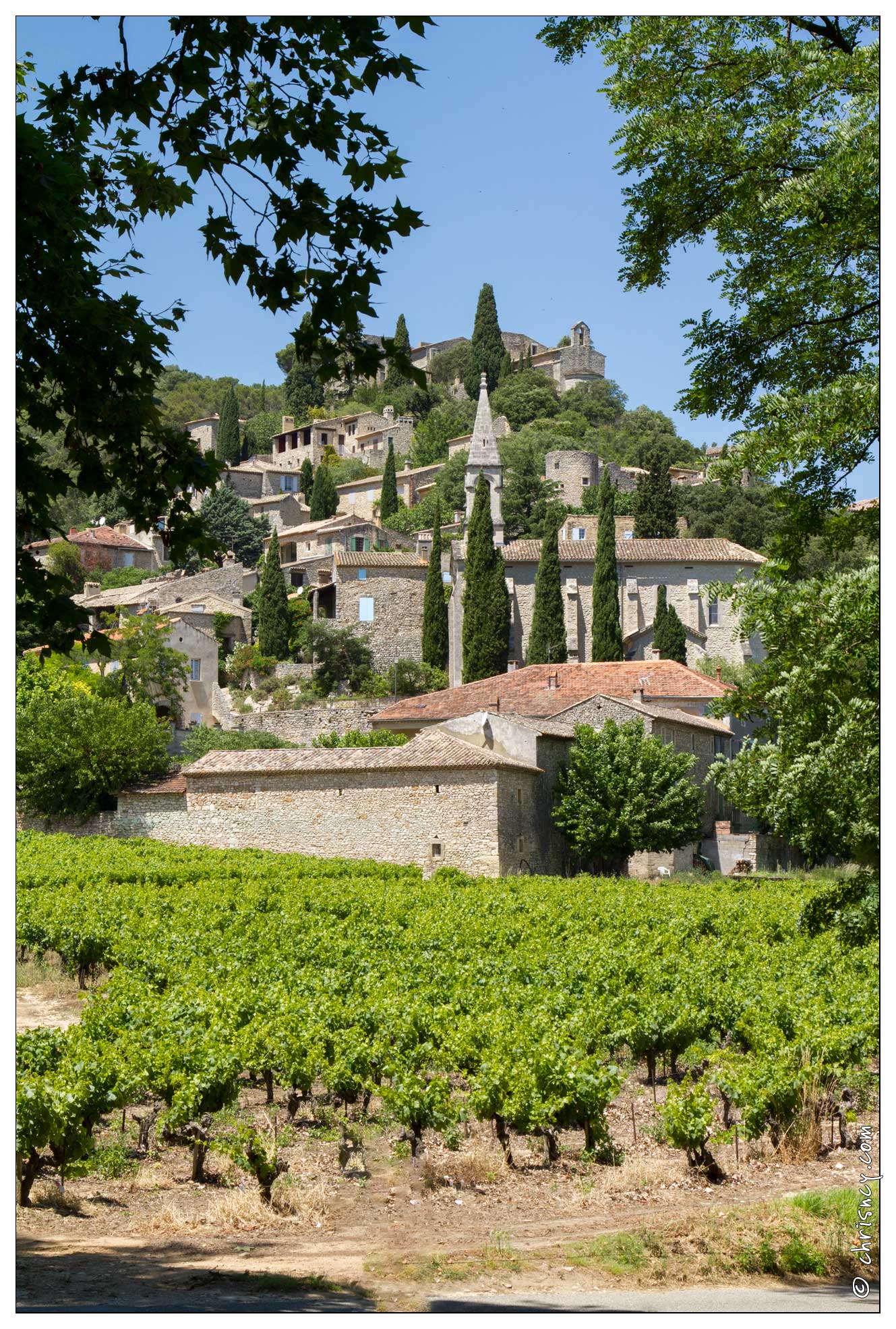 20120616-24_3952-La_Roque_Sur_Ceze.jpg