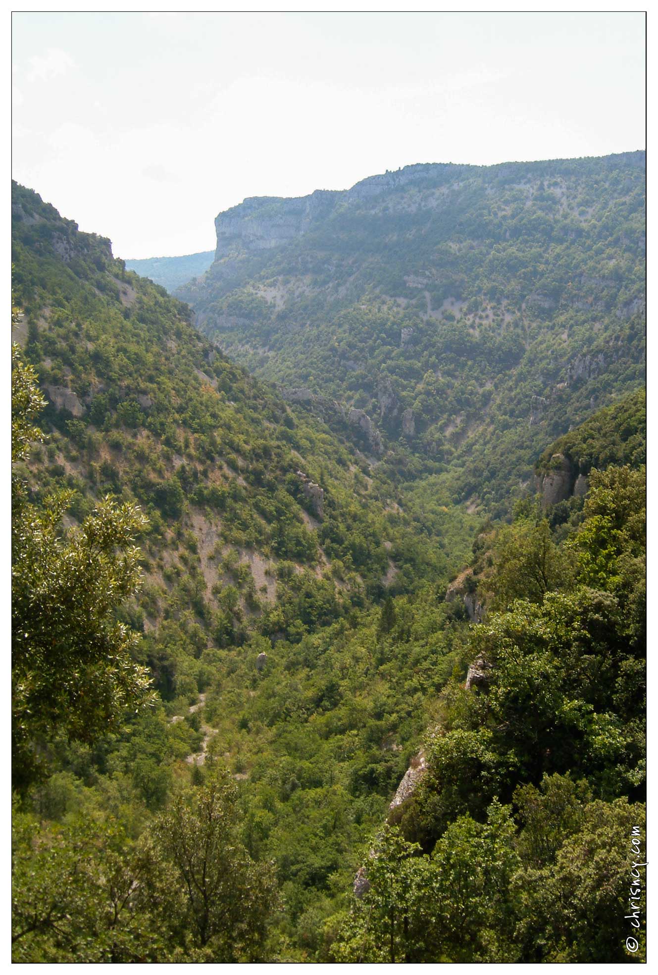 20020824-0619-Gorges_de_la_Nesque.jpg