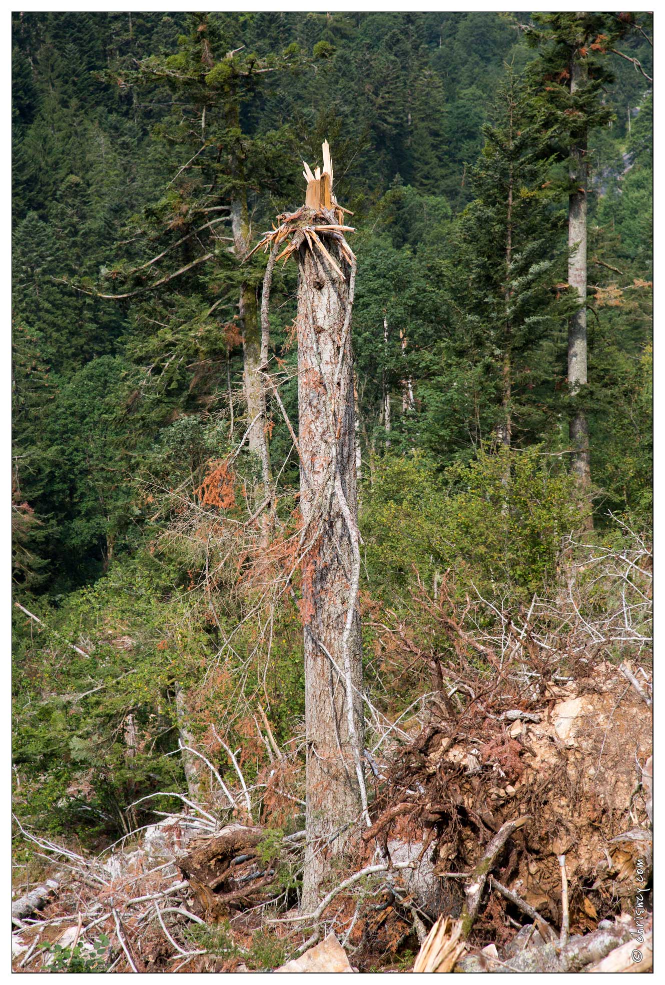 20150812-28_2158-Défile_de_Straiture_tornade_mai_2015.jpg