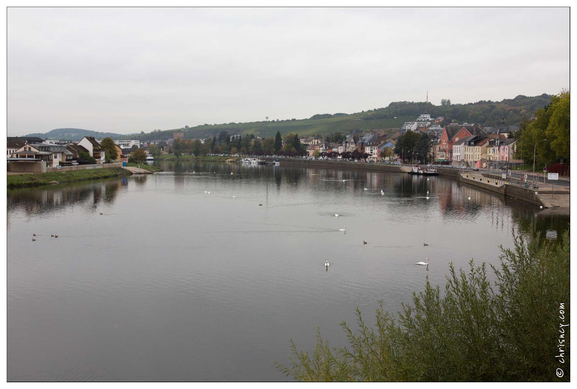 20151005-007_3245-Vallee_de_la_moselle_Wasserbillig.jpg