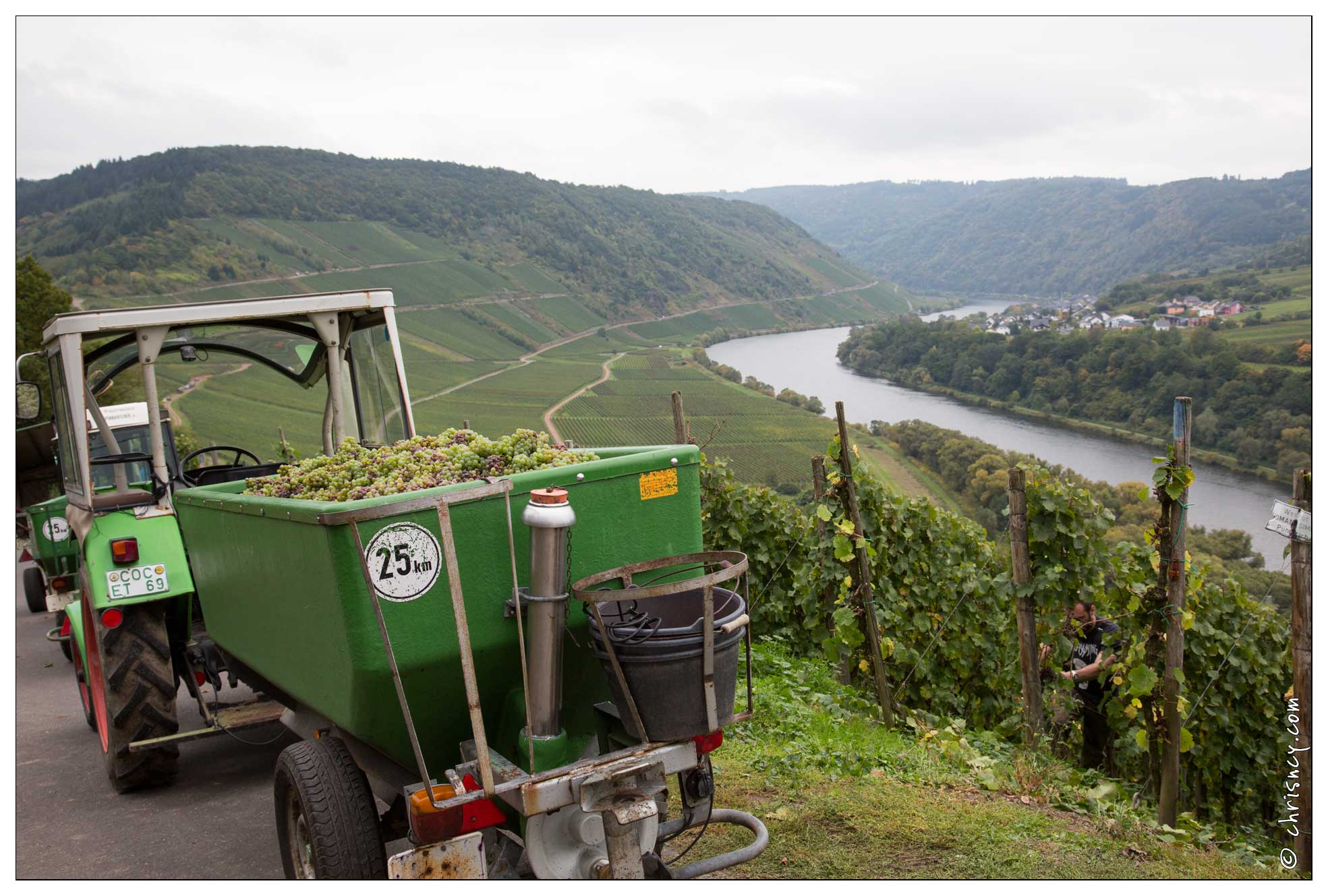 20151005-073_3377-Vallee_de_la_moselle_Marienburg_vignes.jpg