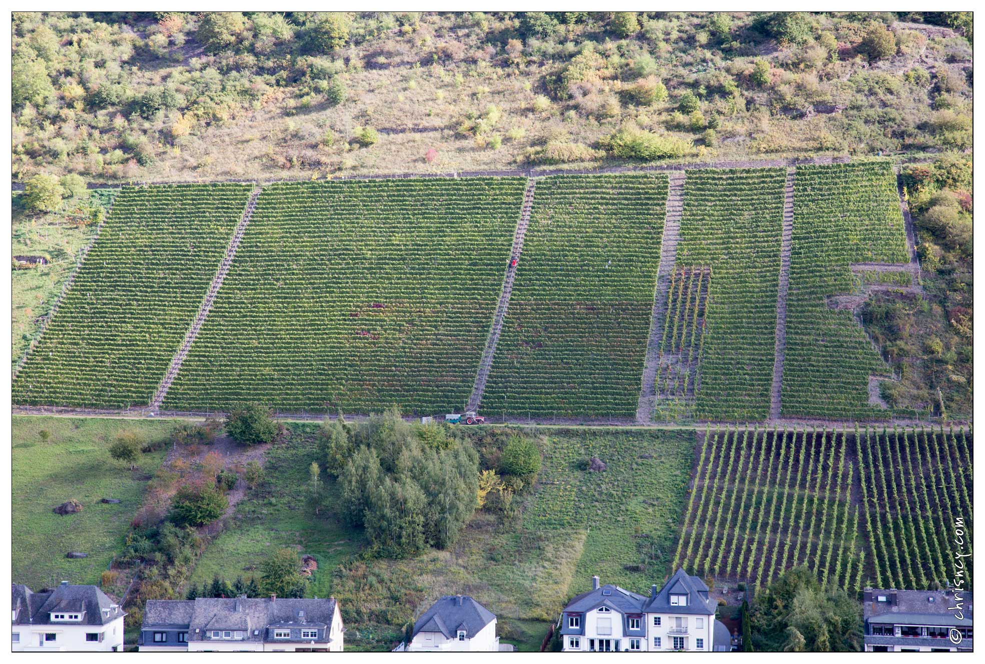 20151008-031_3962-Vallee_de_la_Moselle_Cochem_vignes.jpg