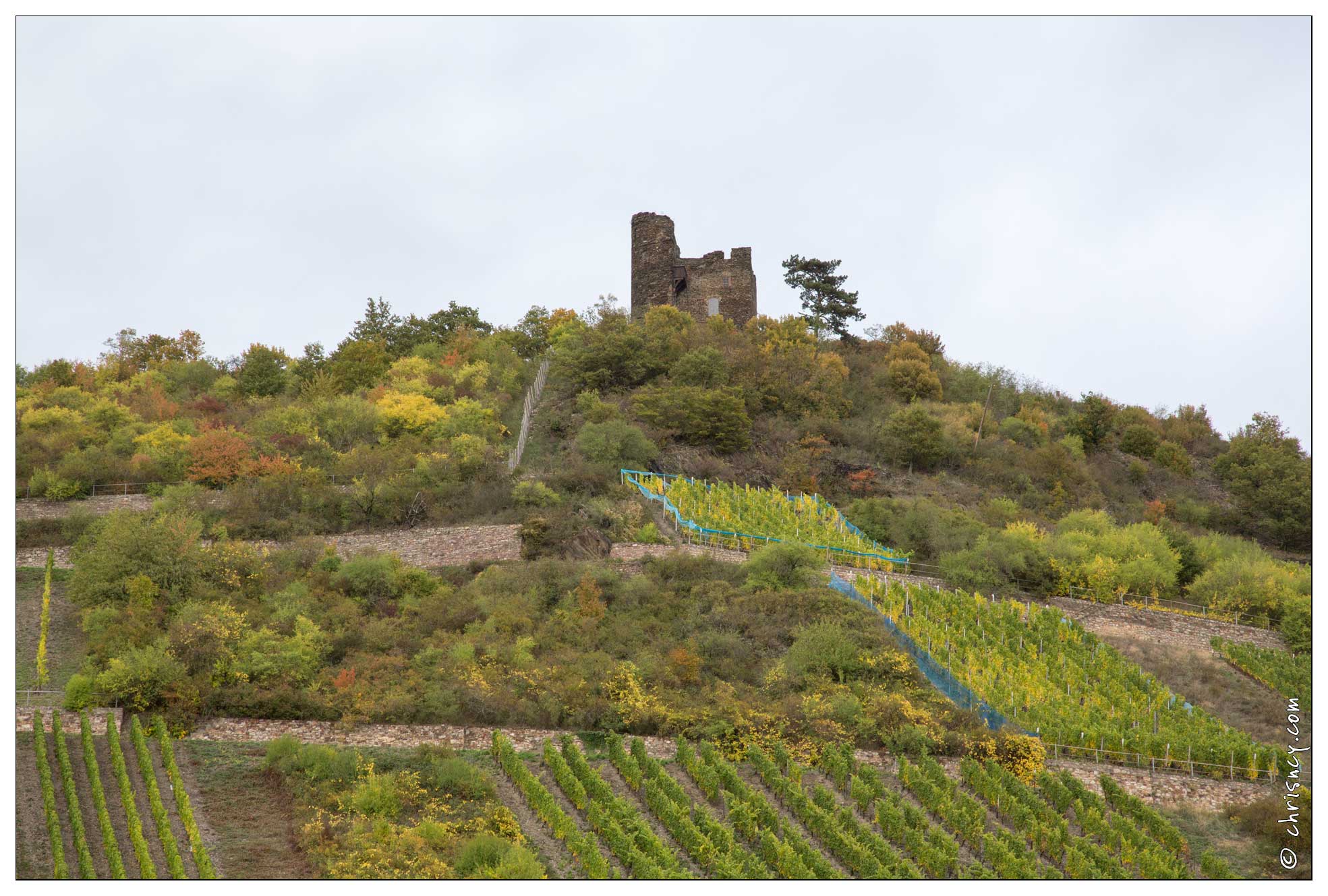 20151007-092_3846-Vallee_du_Rhin_Lorch_Ruines_Horstein.jpg