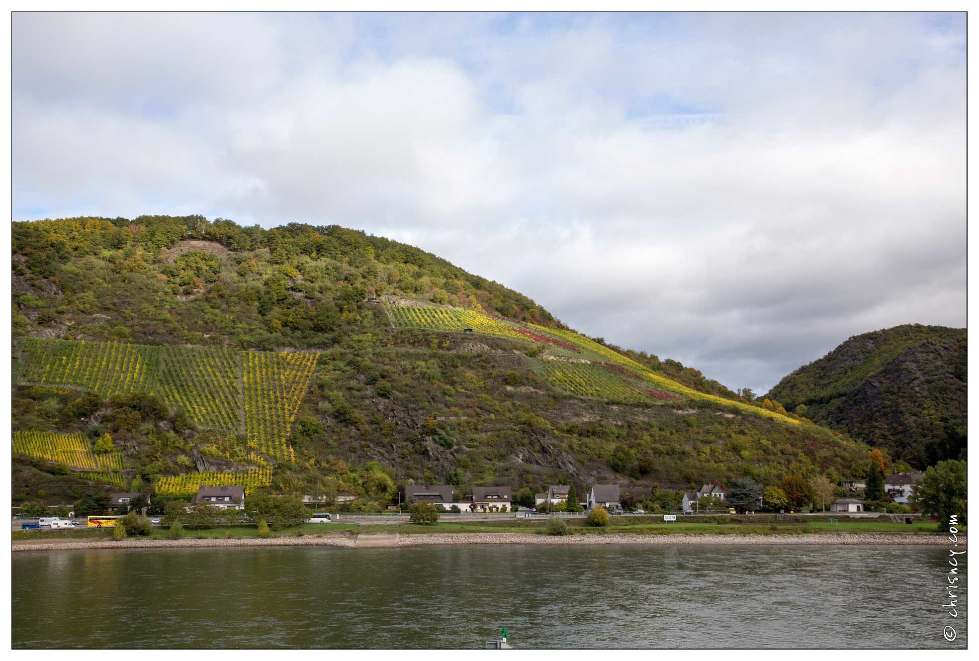 20151007-034_3717-Vallee_du_Rhin_Zu_Fellen_vues_sur_les_vignes.jpg