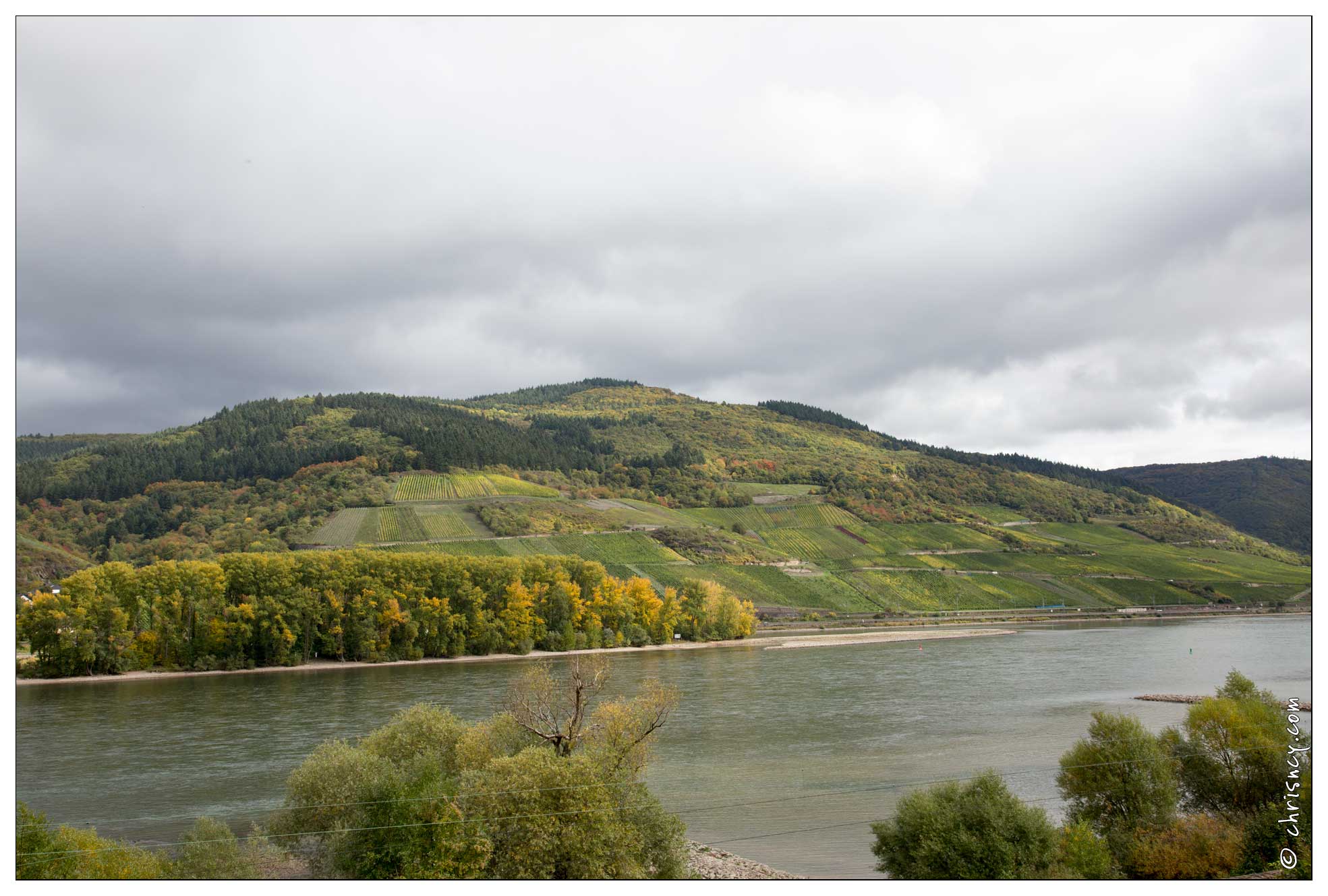 20151007-066_3776-Vallee_du_Rhin_Niederheimbach_chemin_du_Sooneck_Vue_vallee_et_pentes_viticoles.jpg