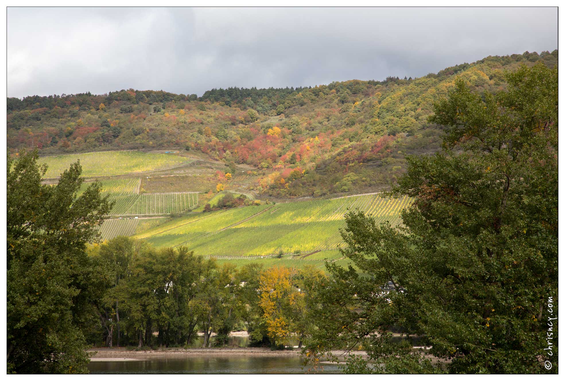 20151007-067_3777-Vallee_du_Rhin_Niederheimbach_chemin_du_Sooneck_Vue_vallee_et_pentes_viticoles.jpg