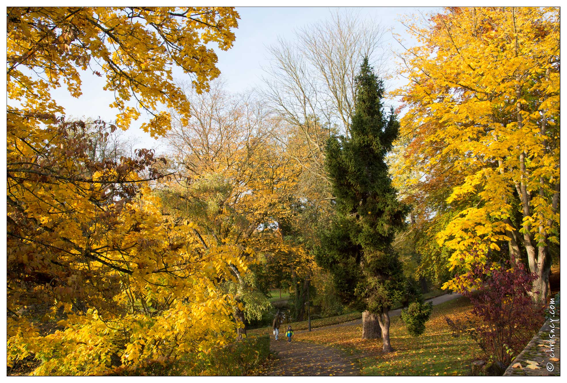 20151029-4046-Metz_un_petit_parc.jpg