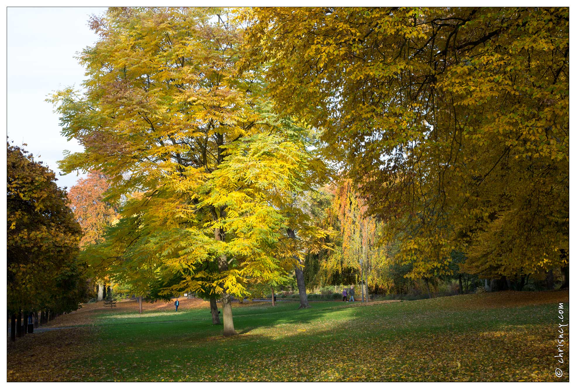 20151029-4044-Metz_un_petit_parc.jpg