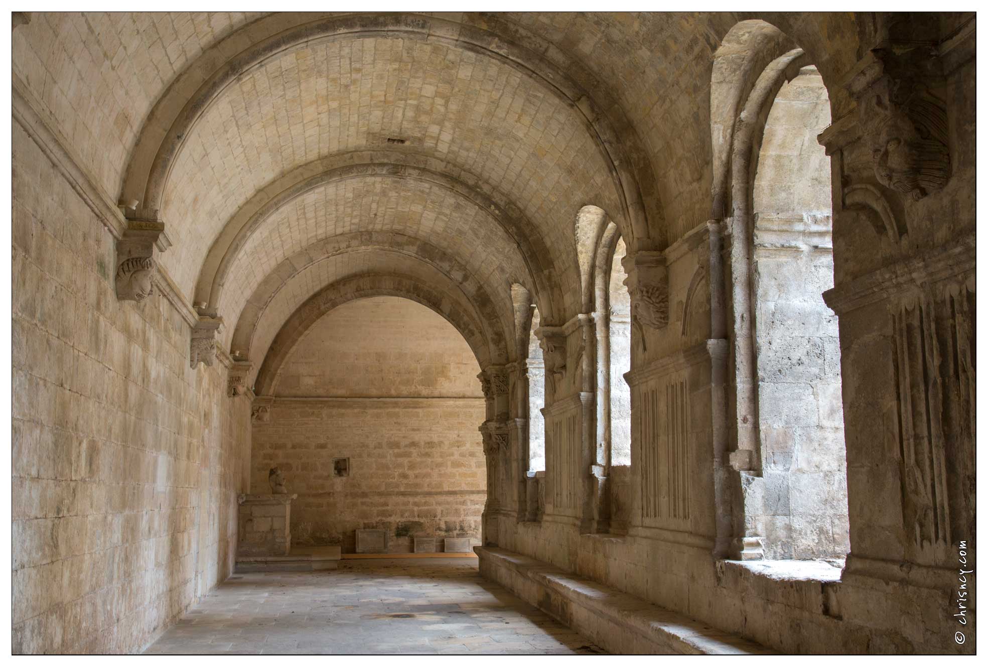 20160123-17_6748-Arles_Abbaye_de_Montmajour_le_cloitre.jpg