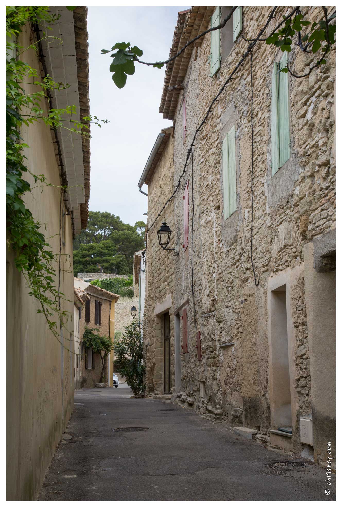 20160612-10 9732-Luberon Saumane de Vaucluse - 20160612-10_9732-Luberon_Saumane_de_Vaucluse.jpg 20160612-10_9732-Luberon_Saumane_de_Vaucluse.jpg