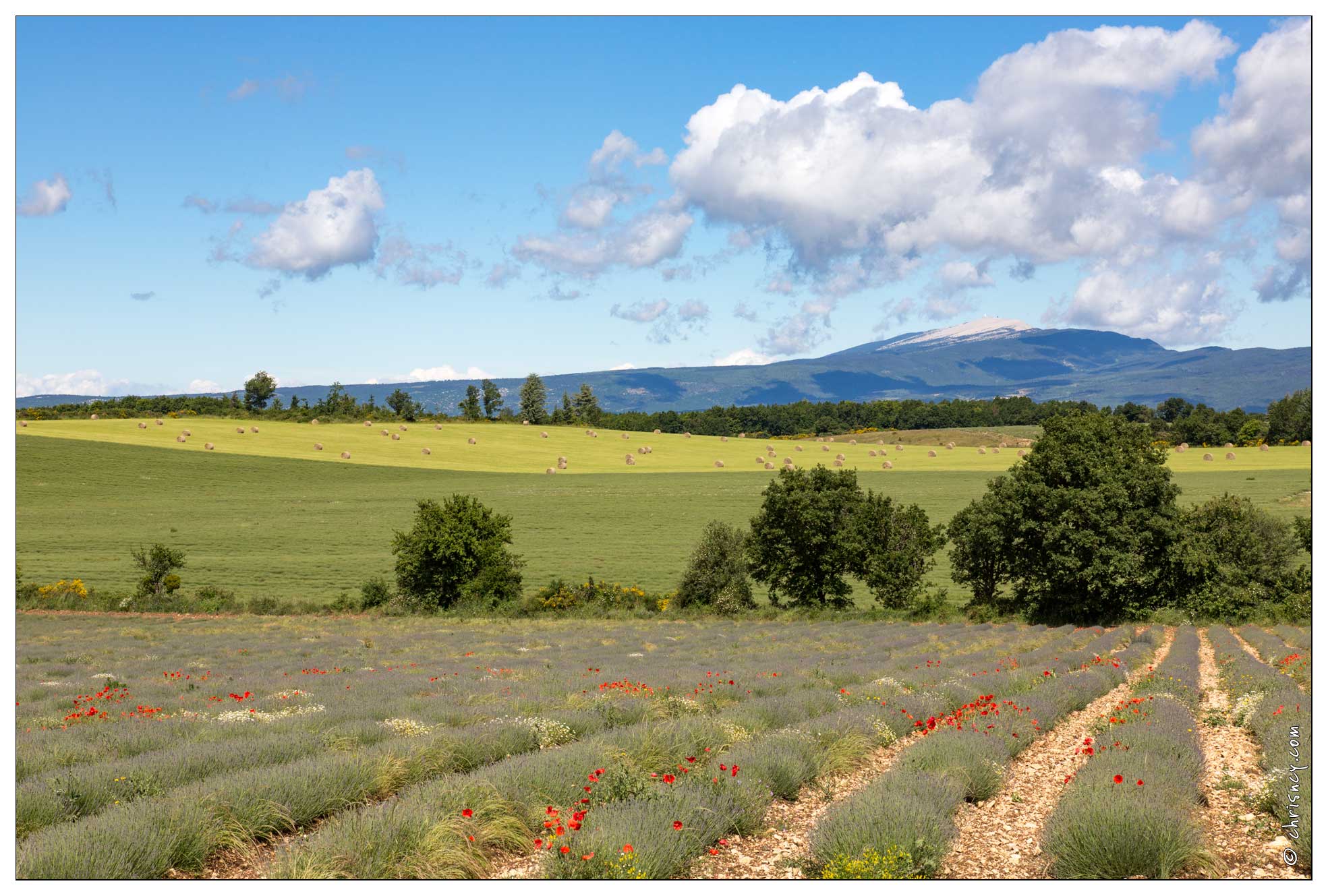 20160617-025_0101-Le_Ventoux_vu_de_ND_de_L'ortiguiere.jpg