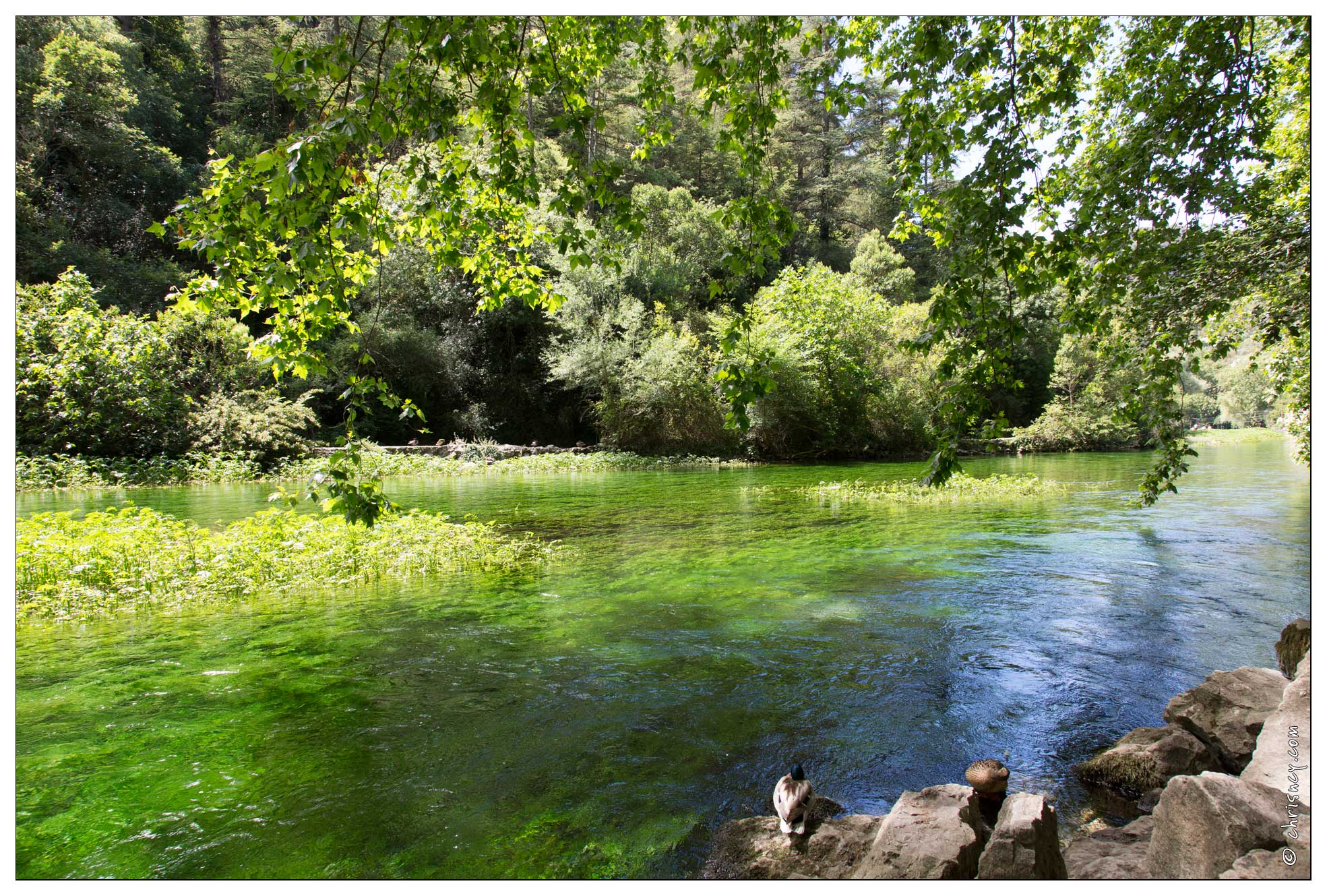 20160621-27 0589-Fontaine de Vaucluse - 20160621-27_0589-Fontaine_de_Vaucluse.jpg 20160621-27_0589-Fontaine_de_Vaucluse.jpg
