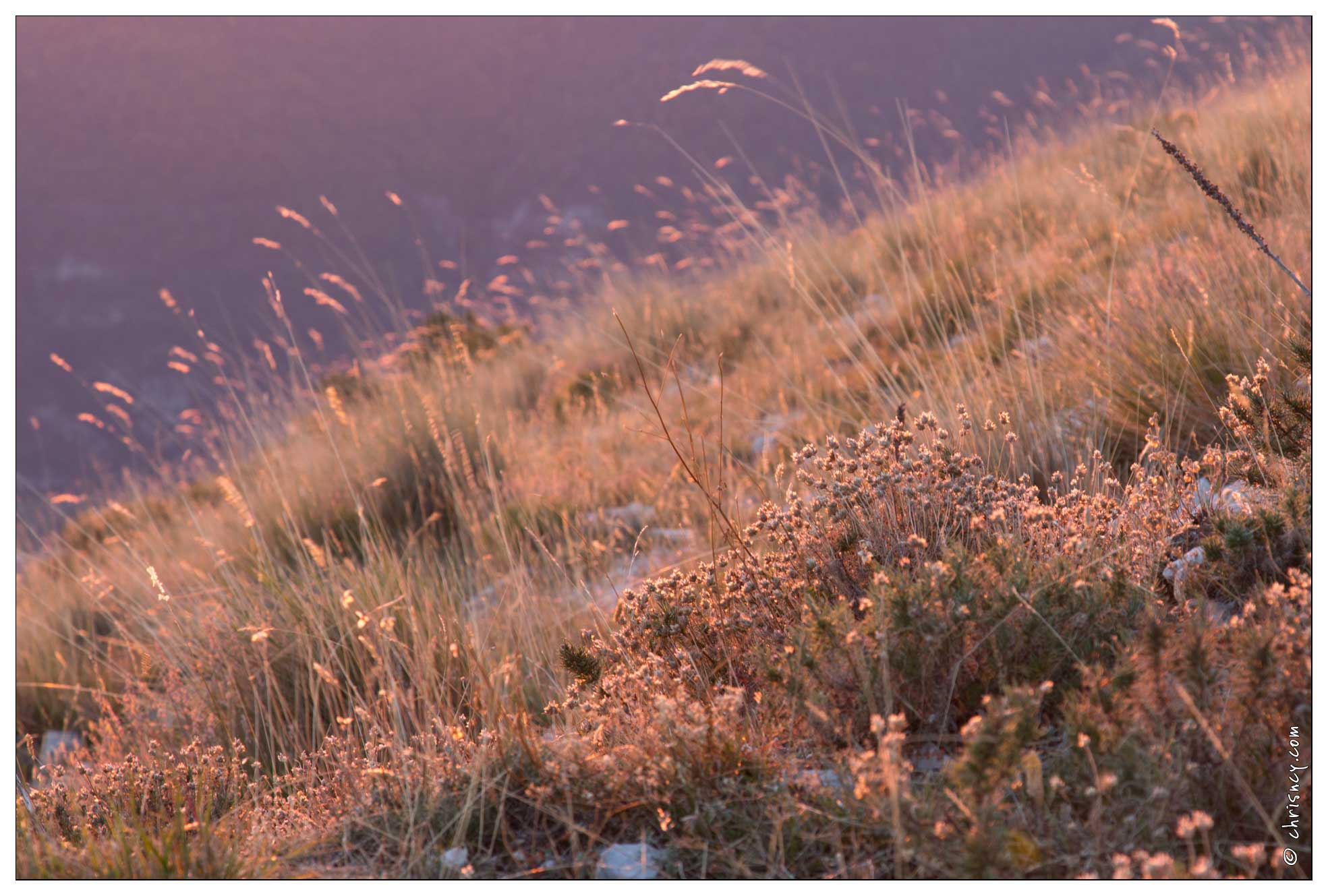 20161009-4472-Coucher-de-soleil-Rocher-de-Beaumont.jpg