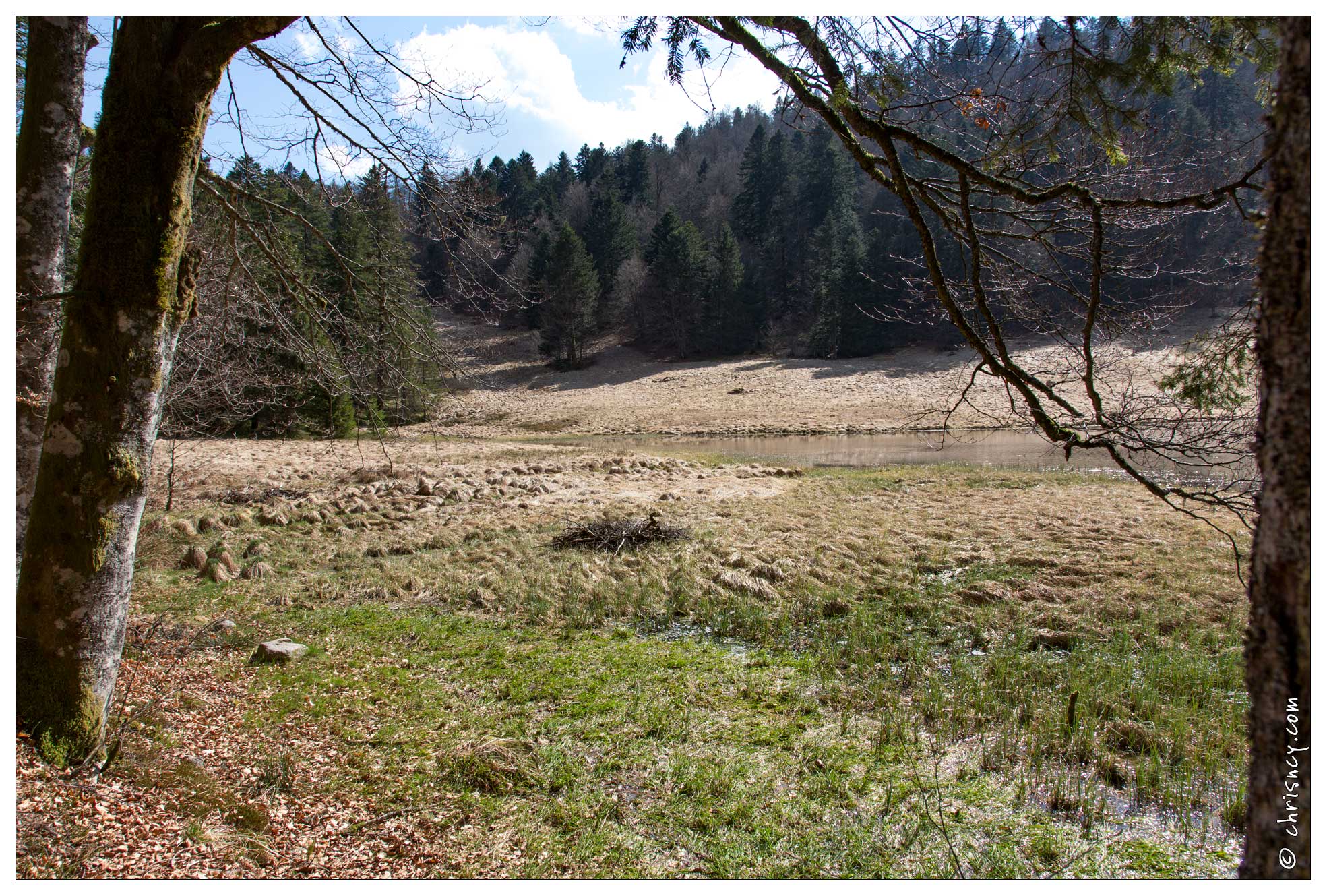 20170409-06 7641-La Bresse Lac de la Cuve - 20170409-06_7641-La_Bresse_Lac_de_la_Cuve.jpg 20170409-06_7641-La_Bresse_Lac_de_la_Cuve.jpg