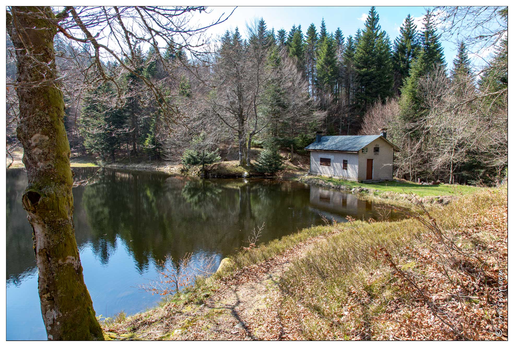 20170409-12_7643-La_Bresse_Lac_de_la_Cuve.jpg