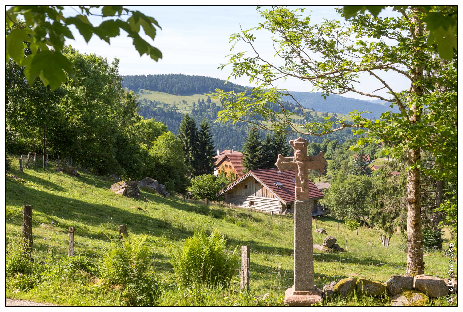 20170616-01_1654-La_Bresse_Croix_La_Basse_des_Feignes.jpg