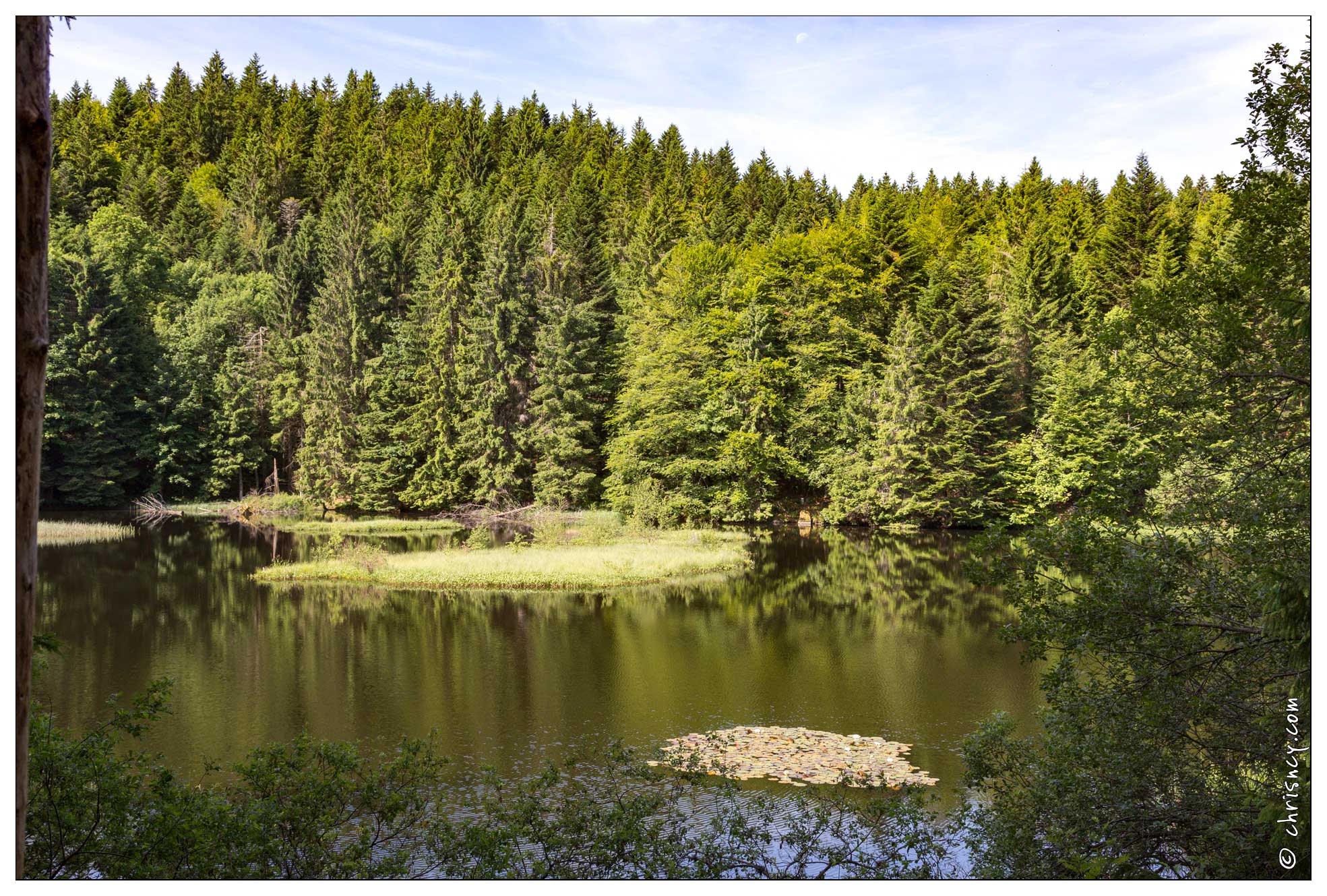 20170616-07_1677-La_Bresse_Etang_de_Xauxonfaing.jpg